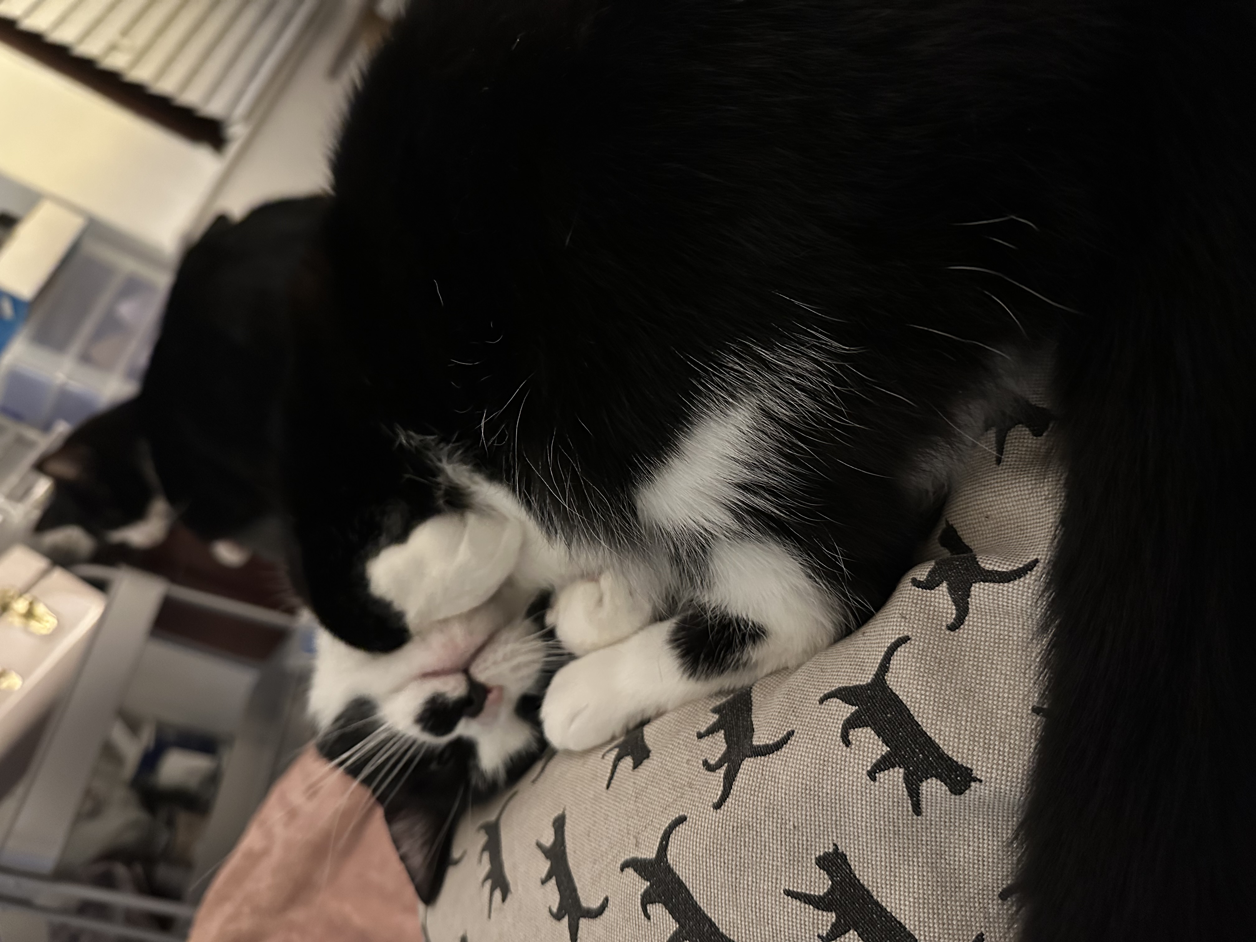image-6