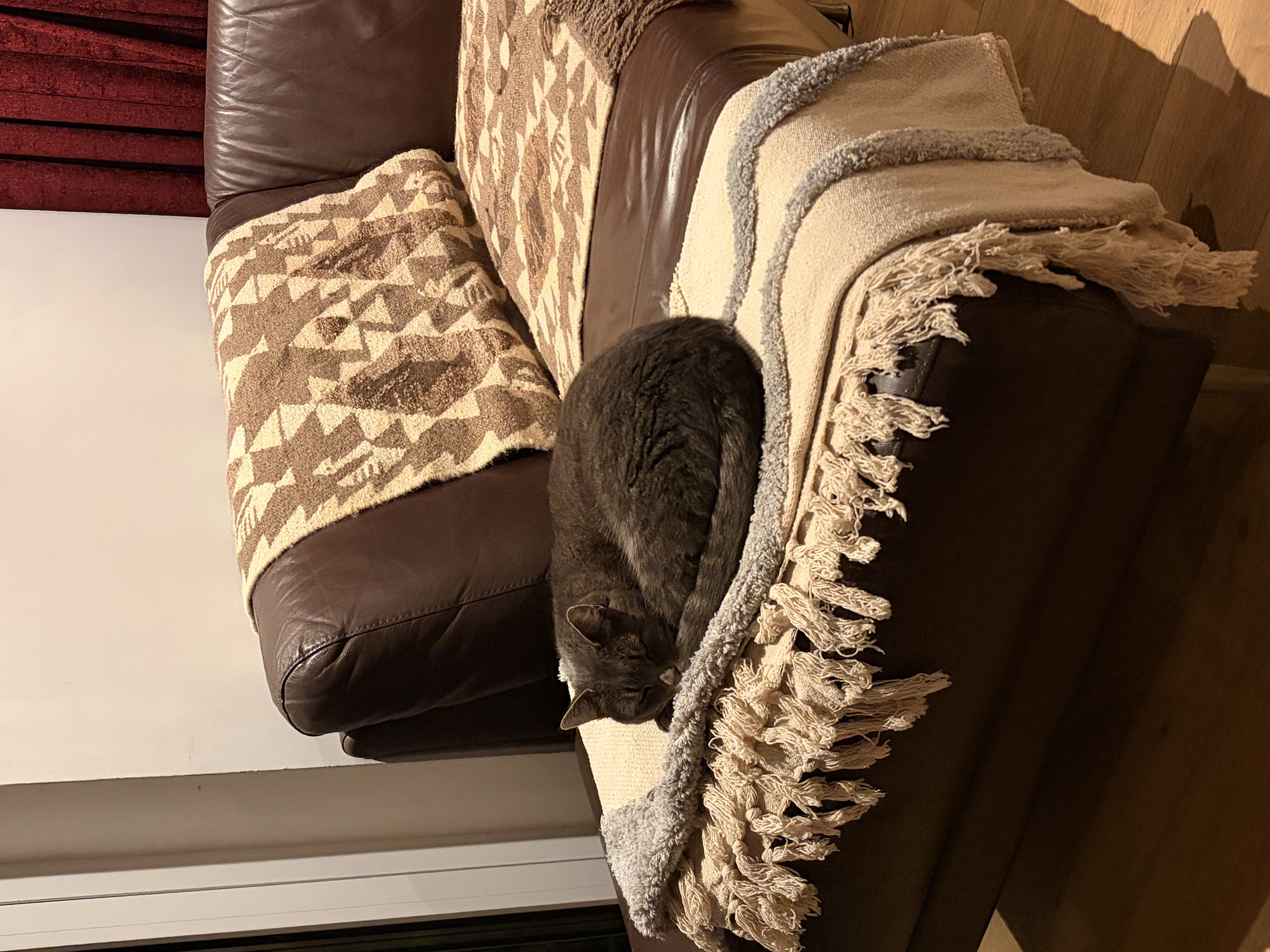image-6
