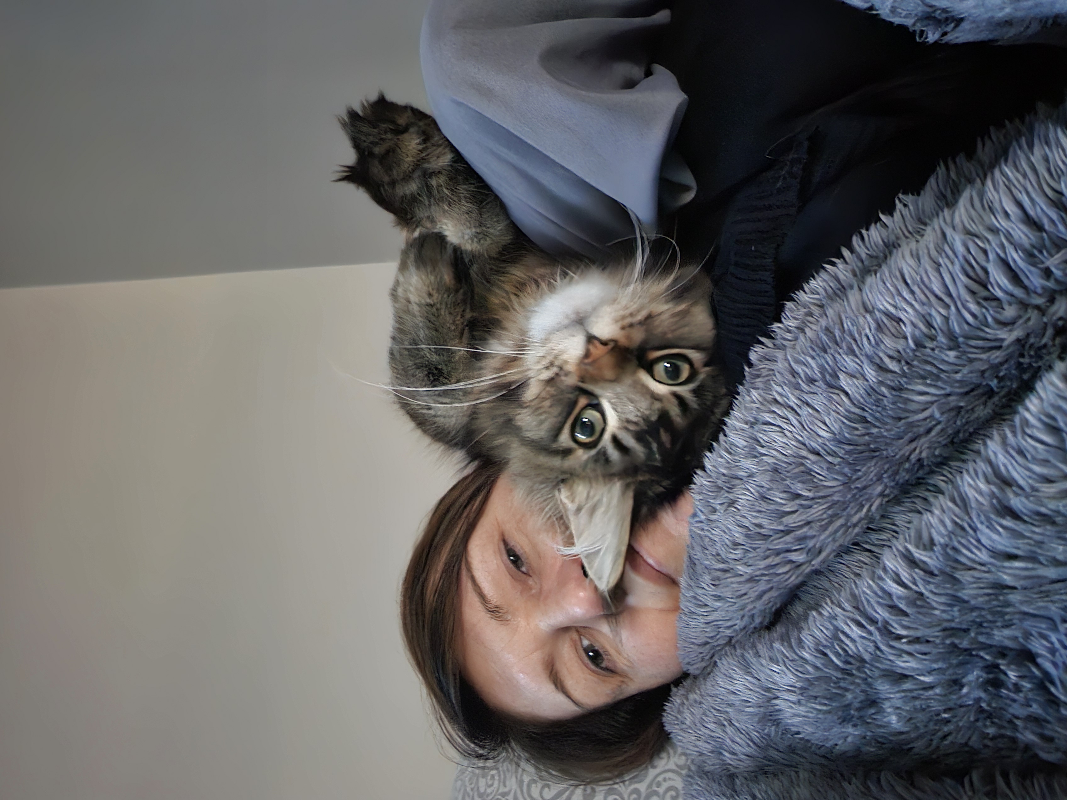 image-6