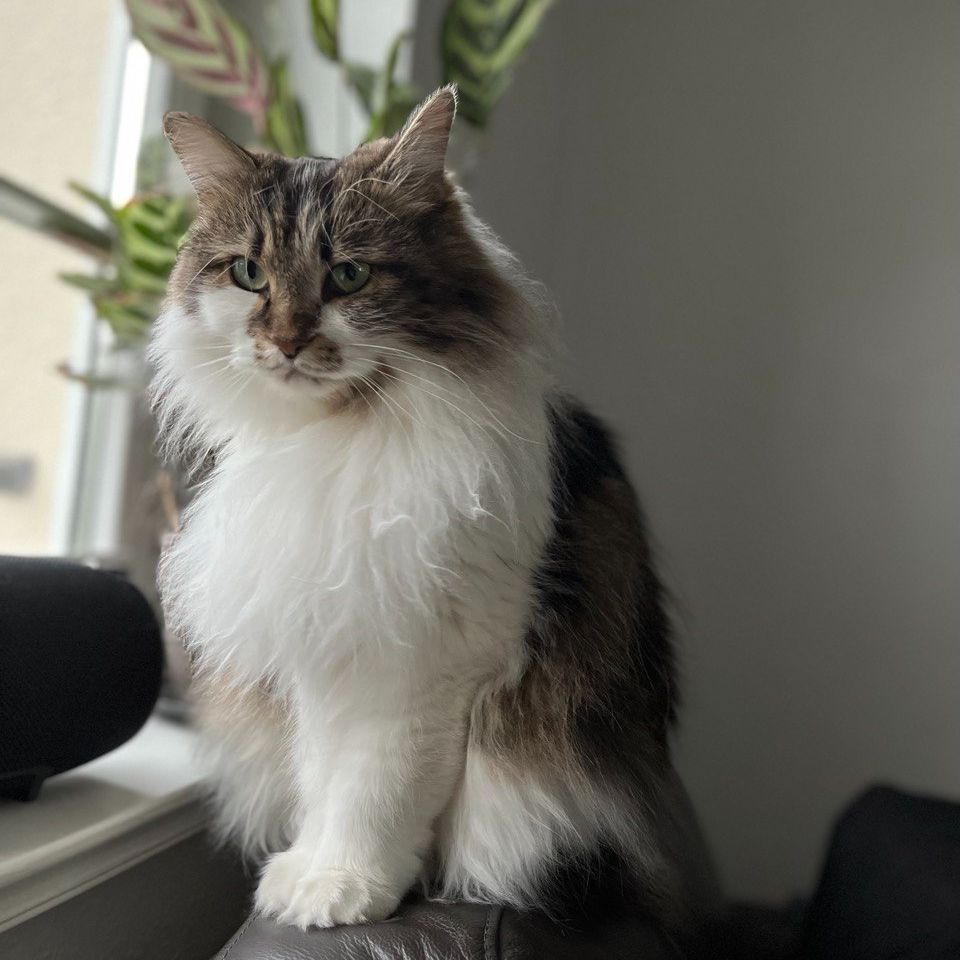 Ruslana