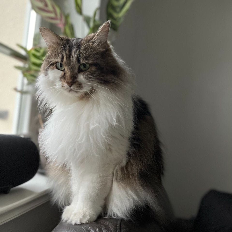 Ruslana