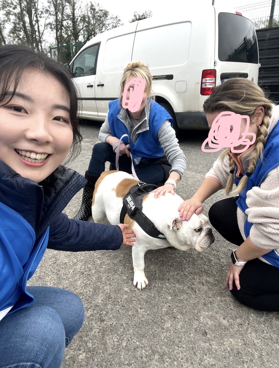image-16