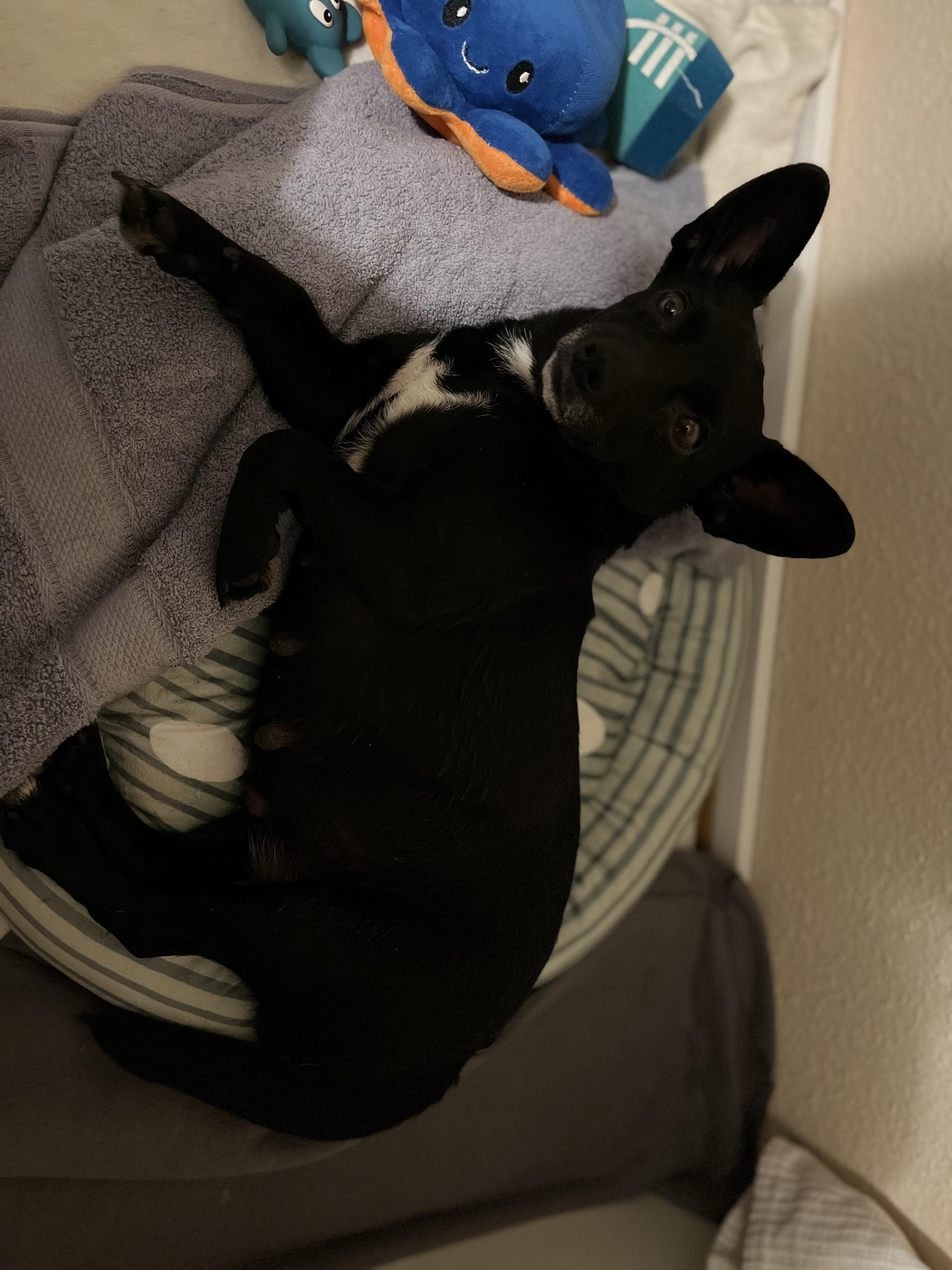 image-10