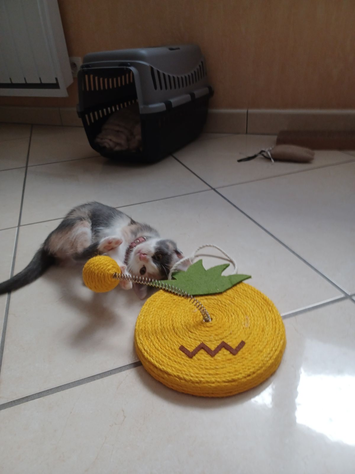 image-11
