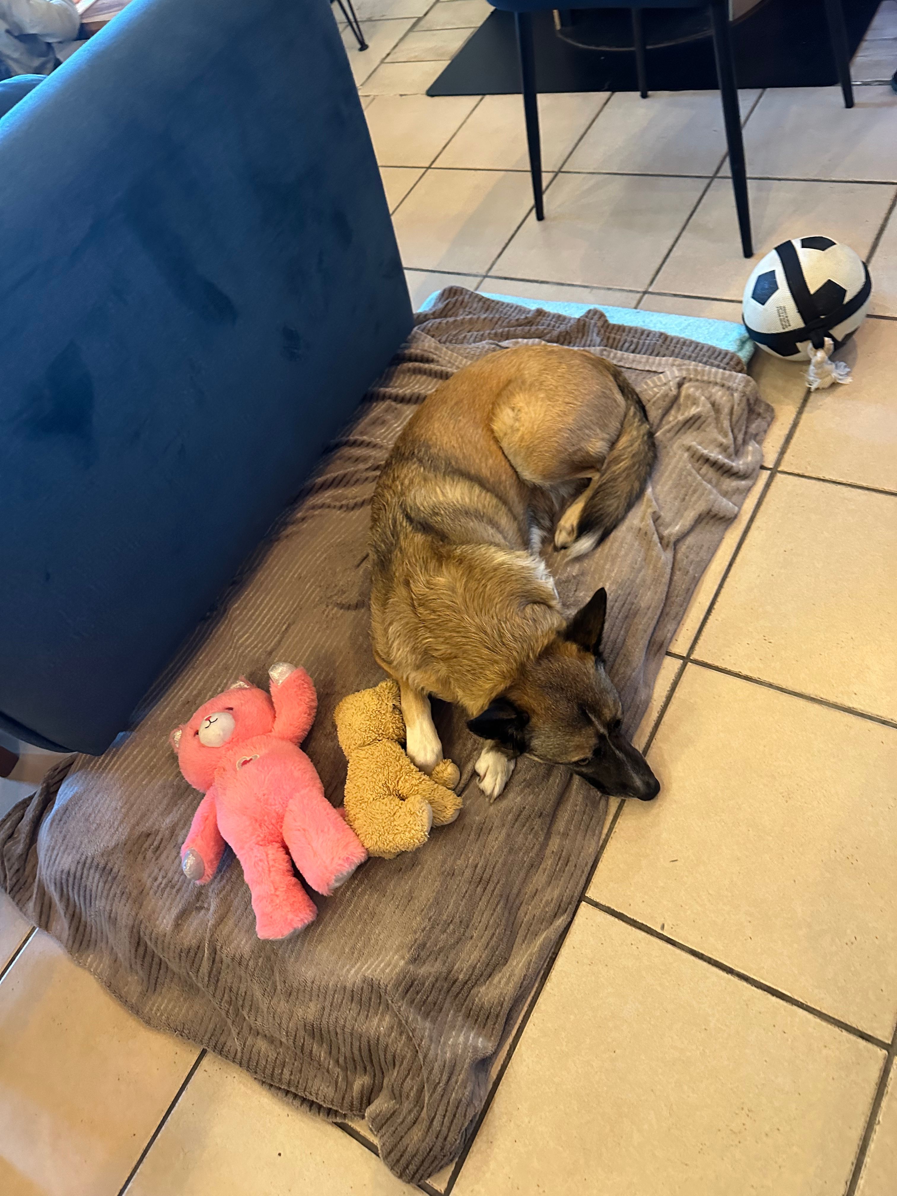 image-6