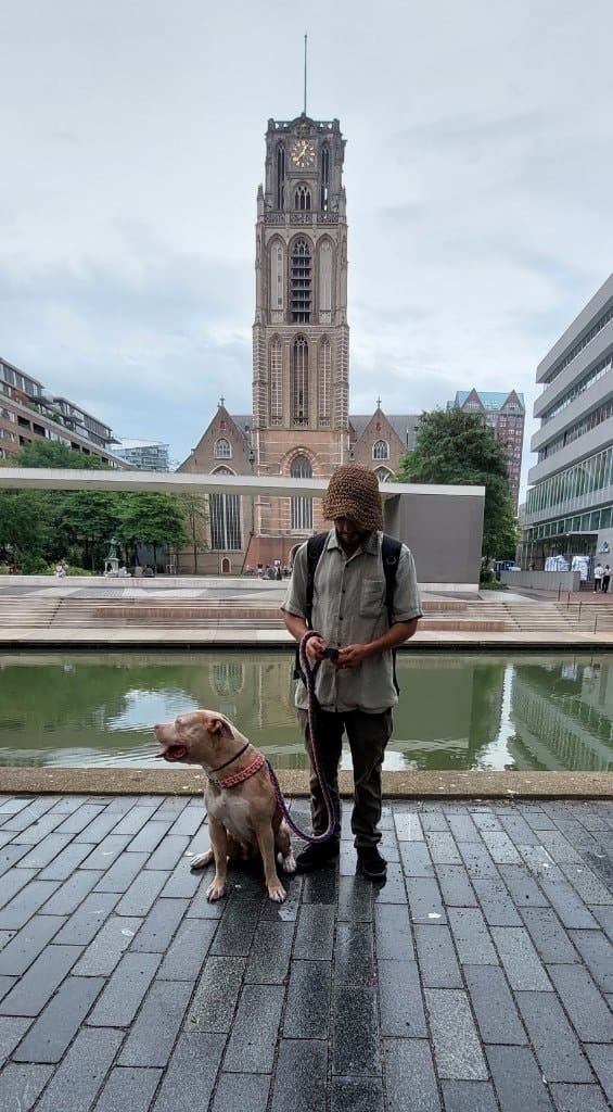 image-18