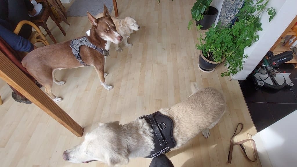 image-14