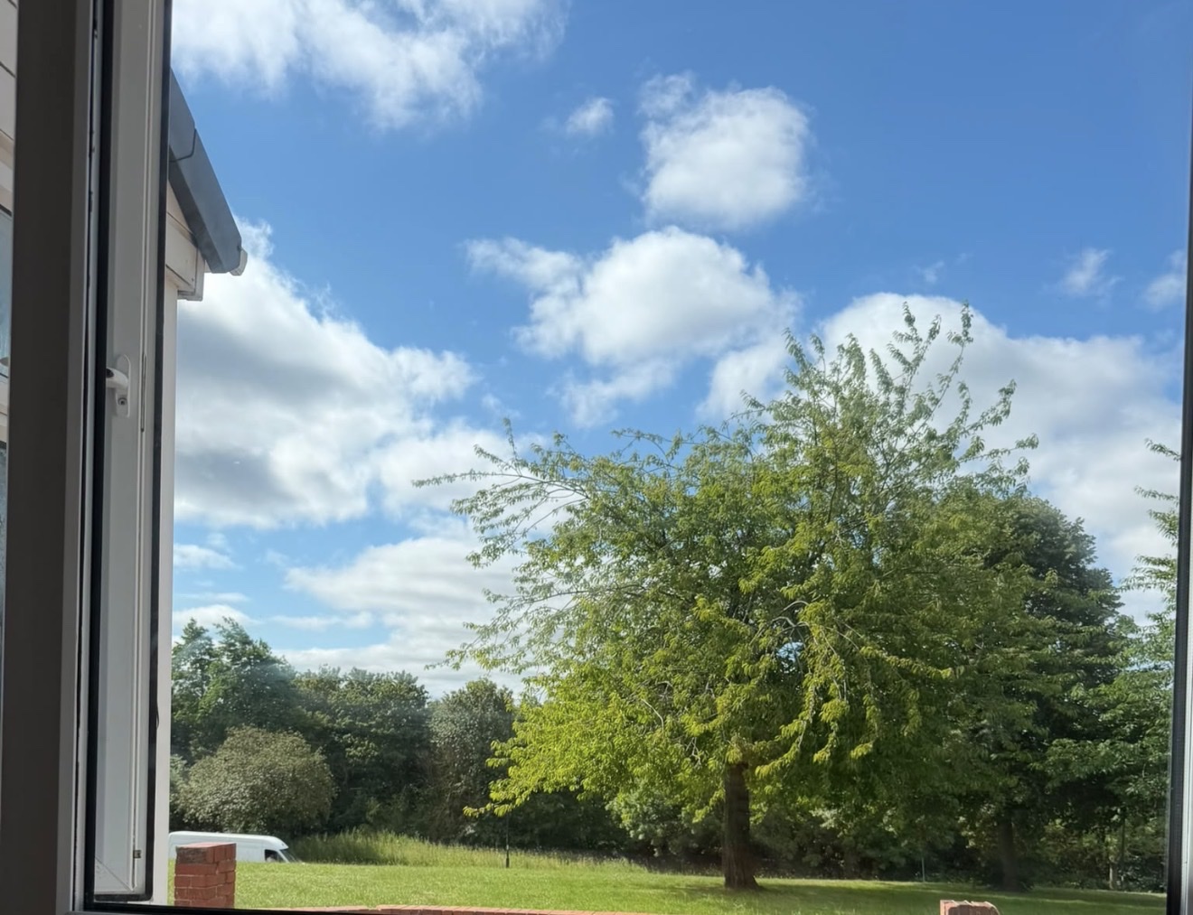 image-14