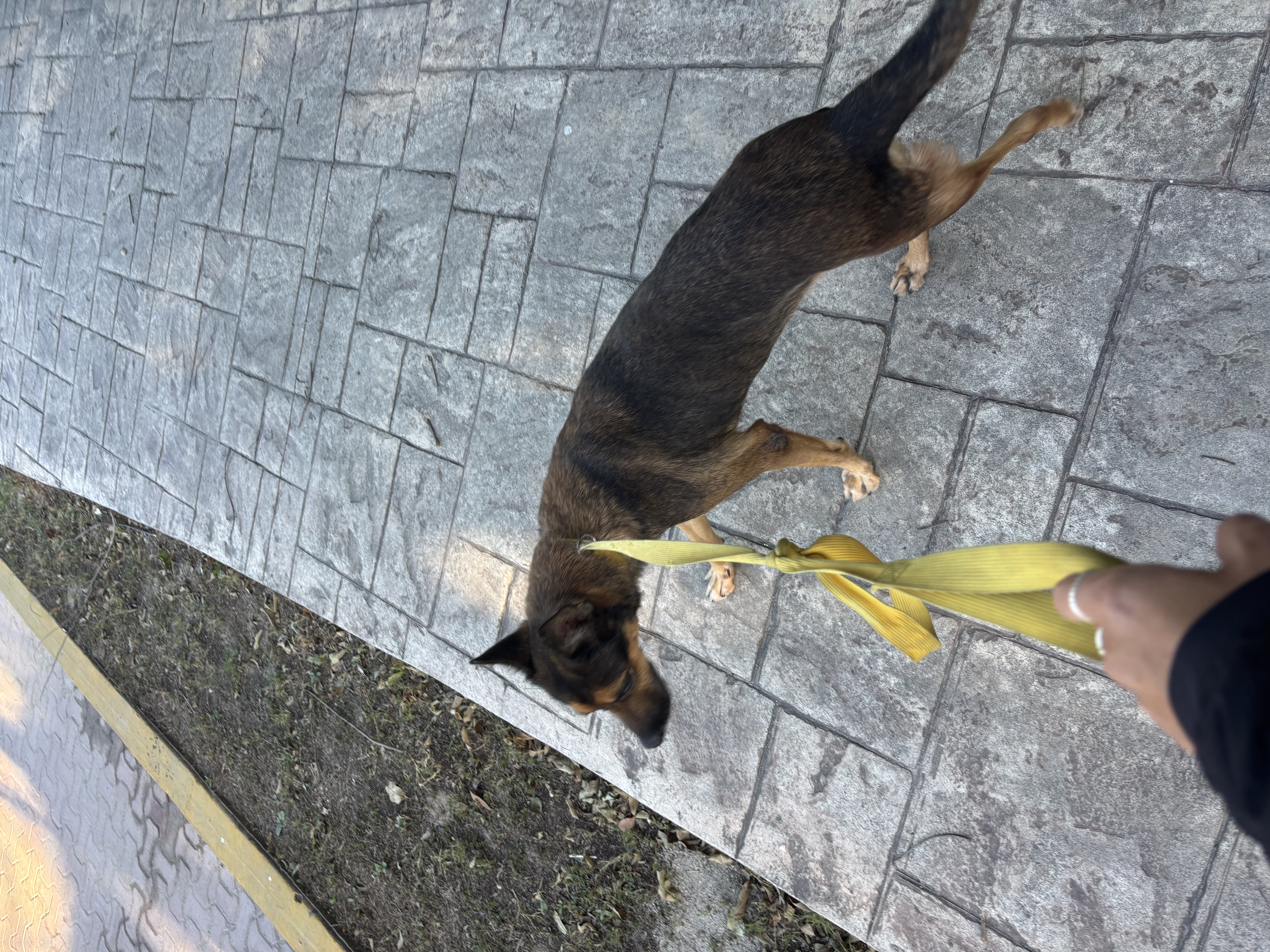 image-5