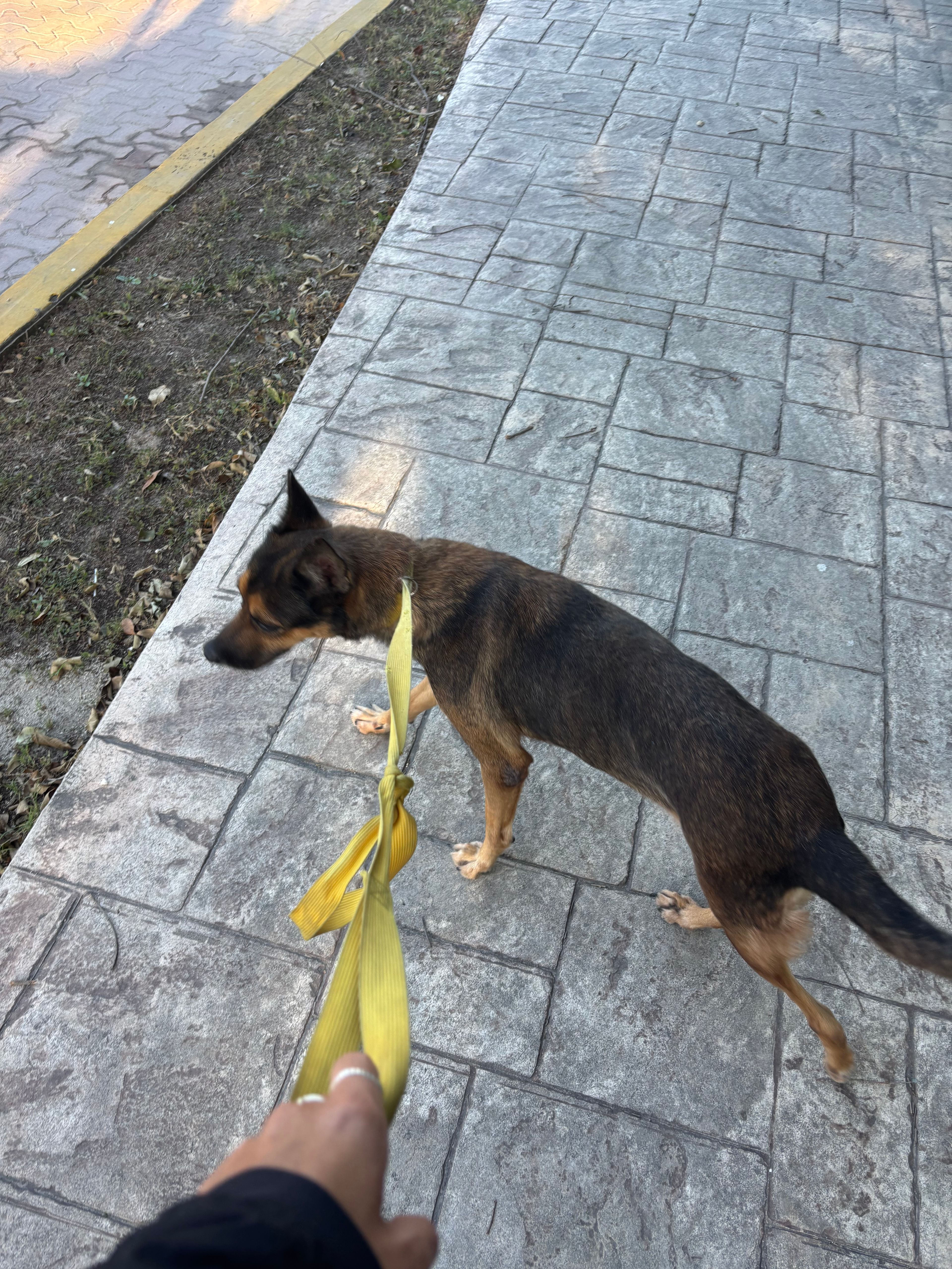 image-5