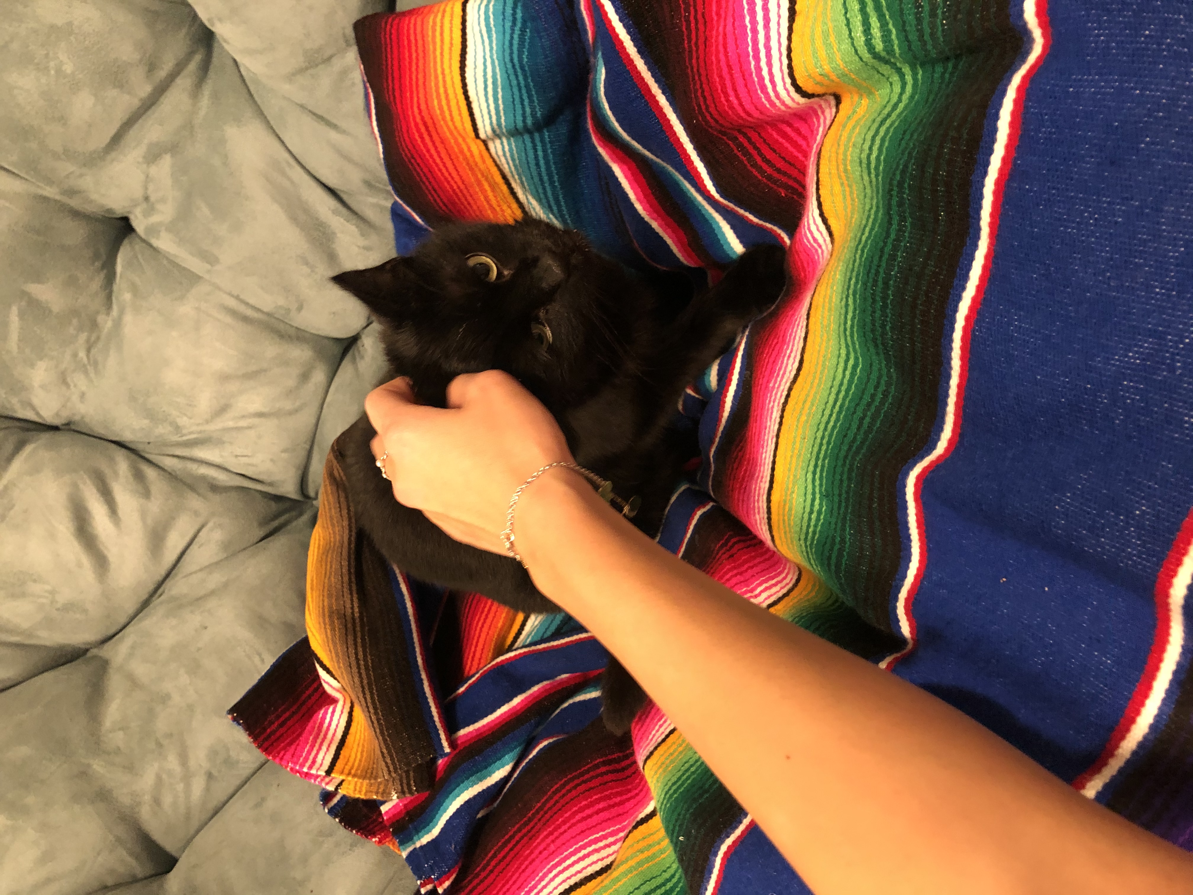 image-8