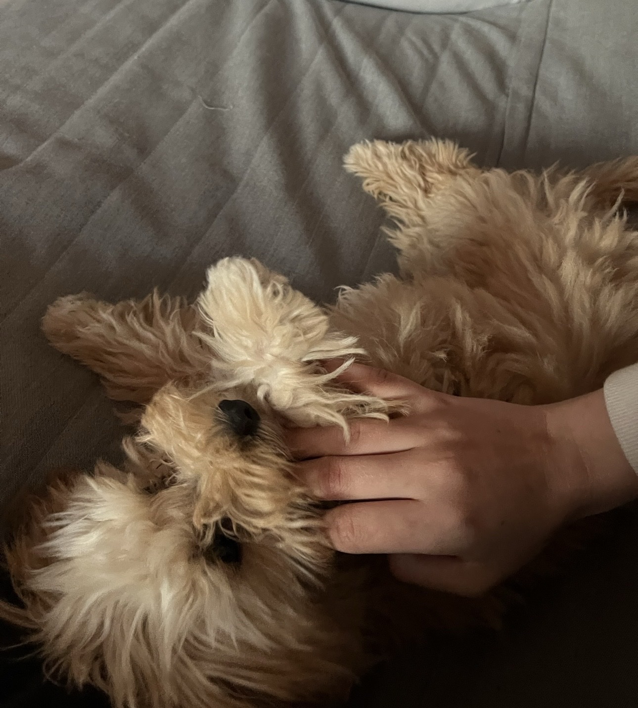 image-11