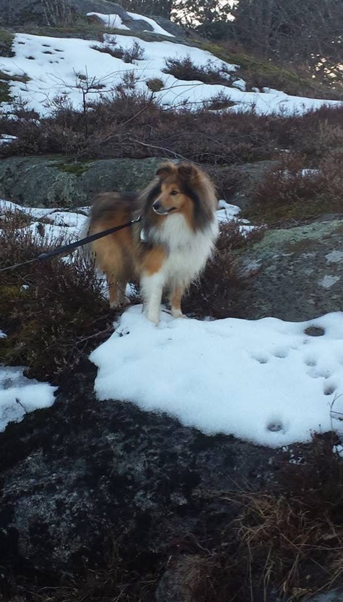 image-3