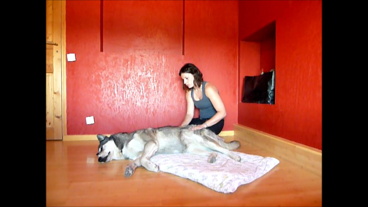 image-3