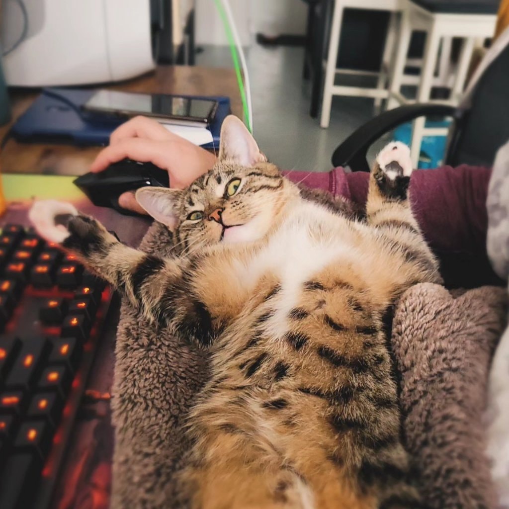 Gremishka (mimi)