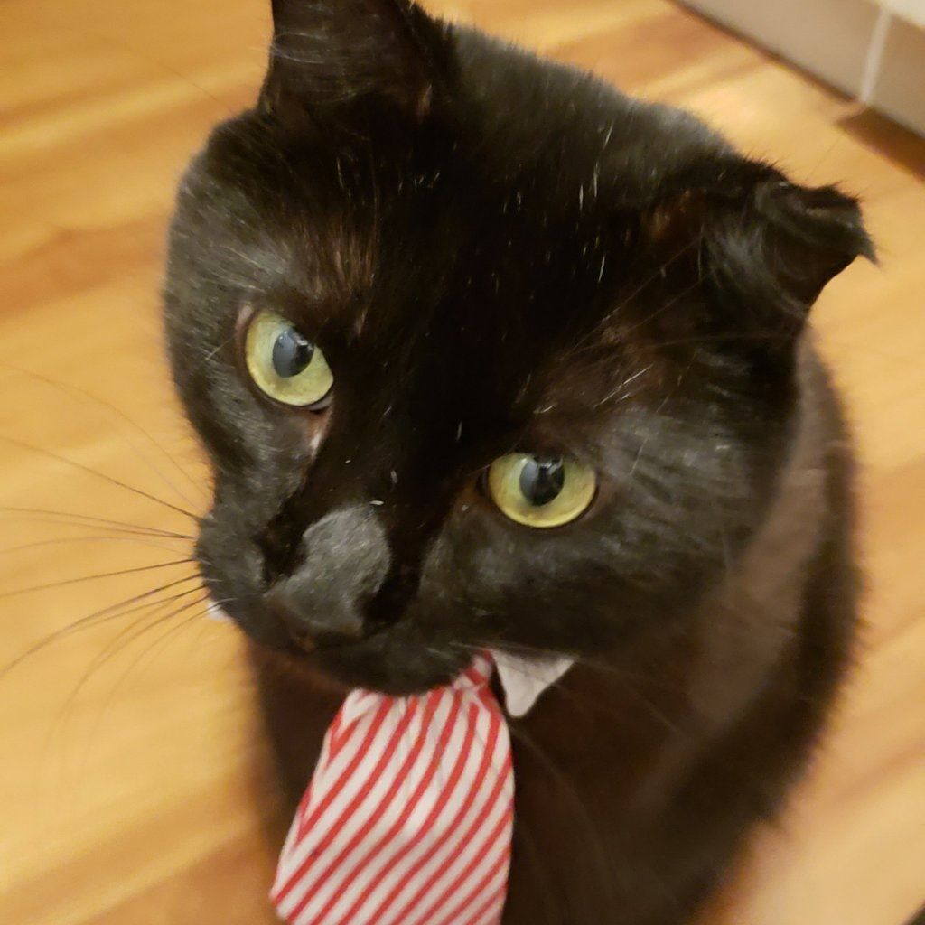 Benny