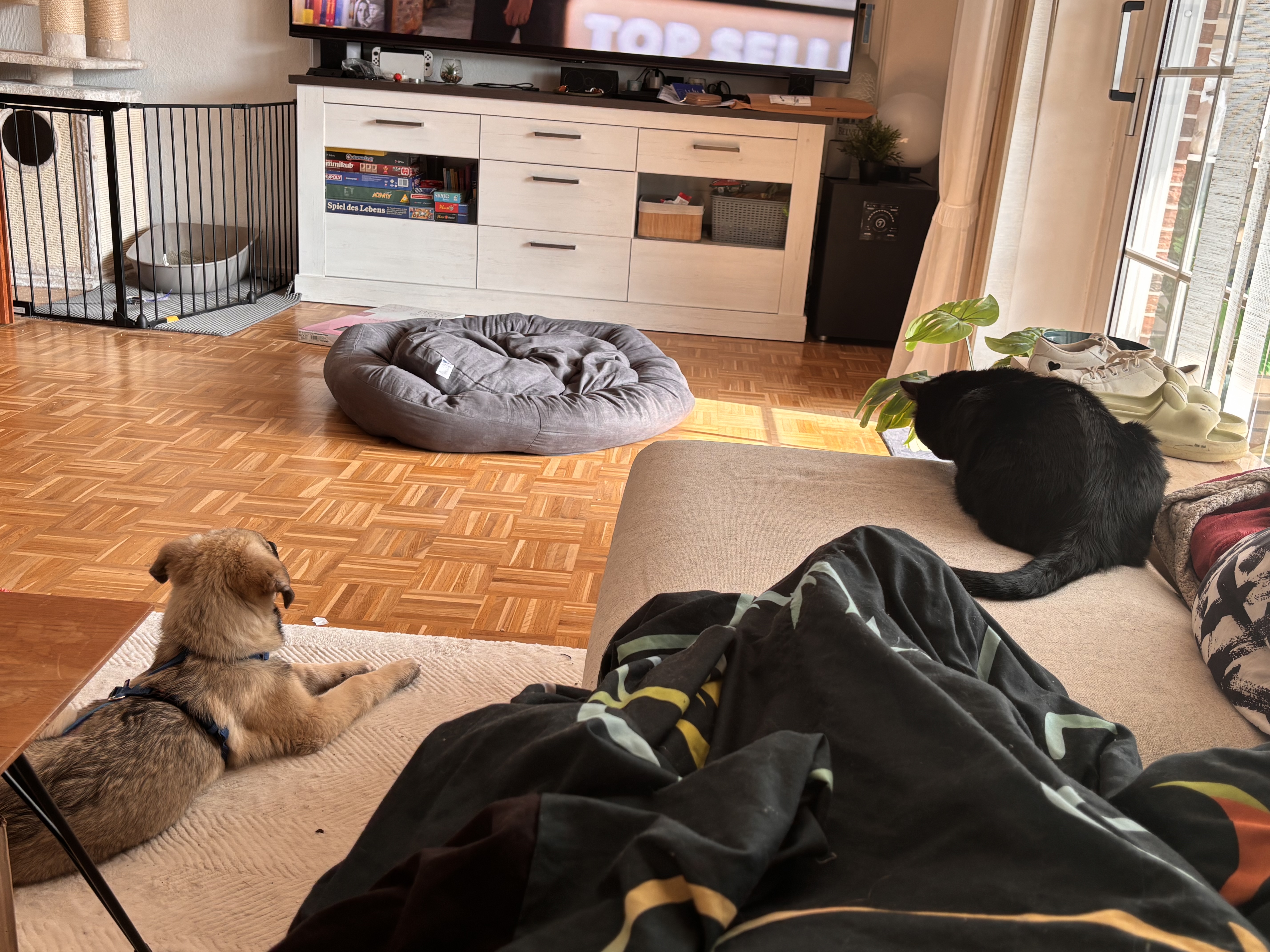 image-10
