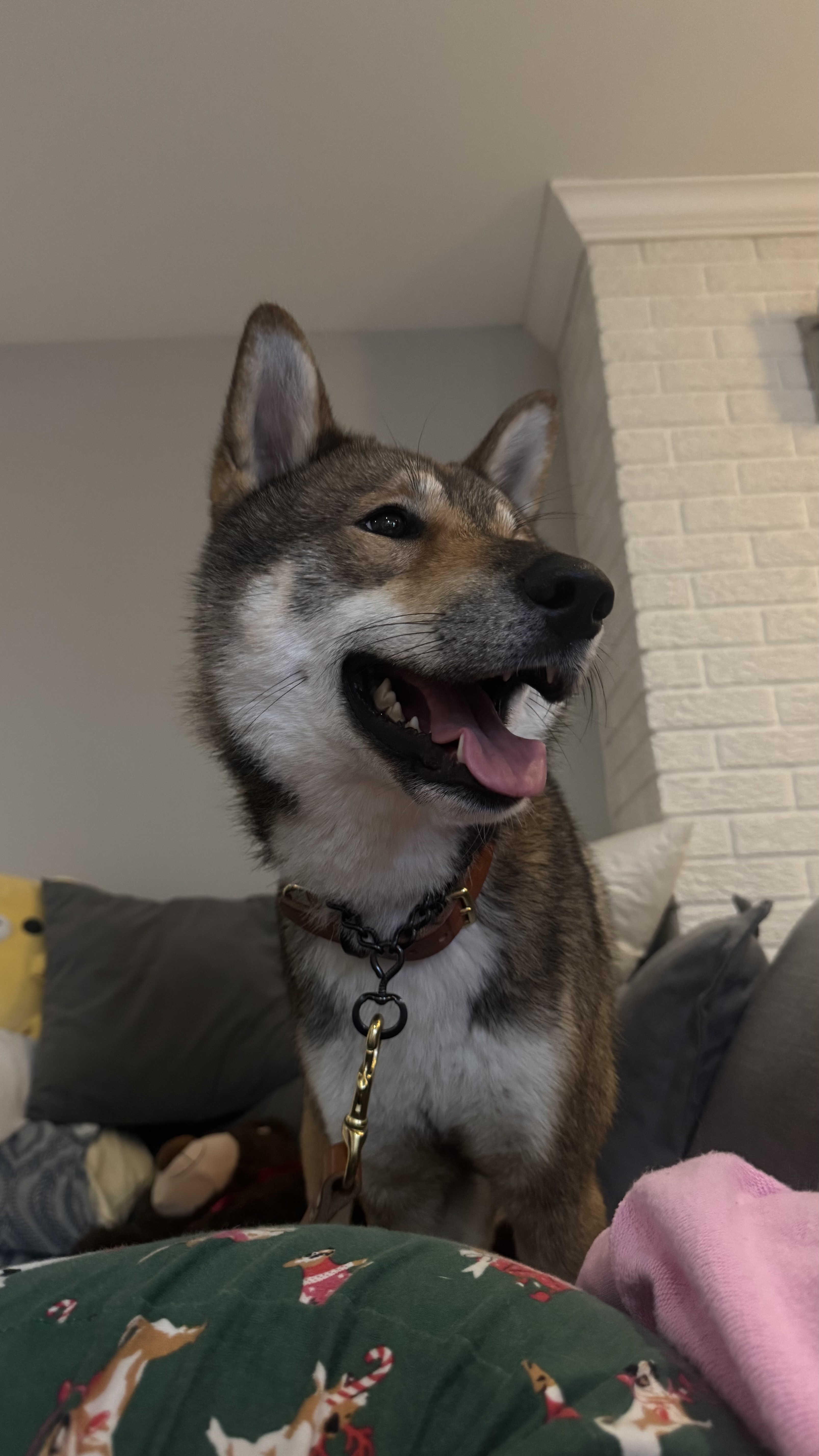 image-10