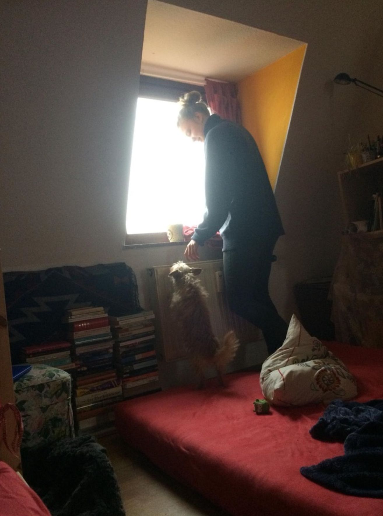 image-8