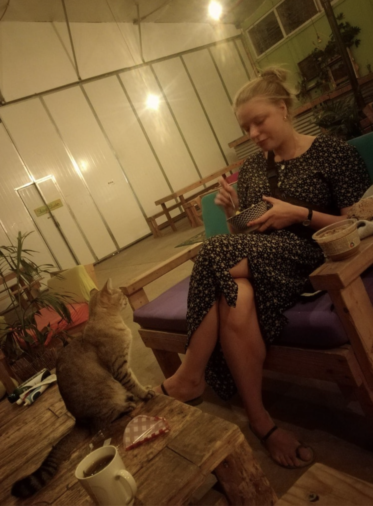 image-7