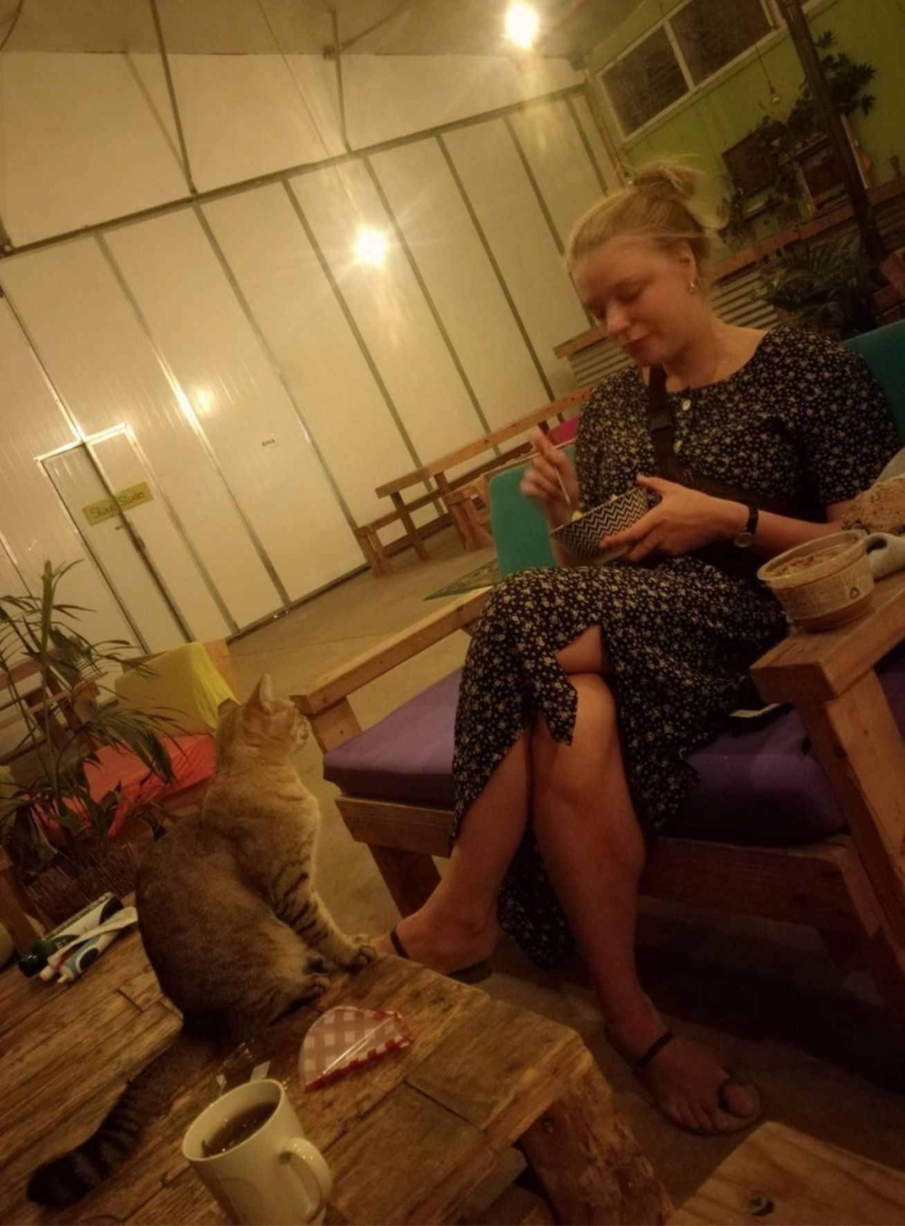 image-7