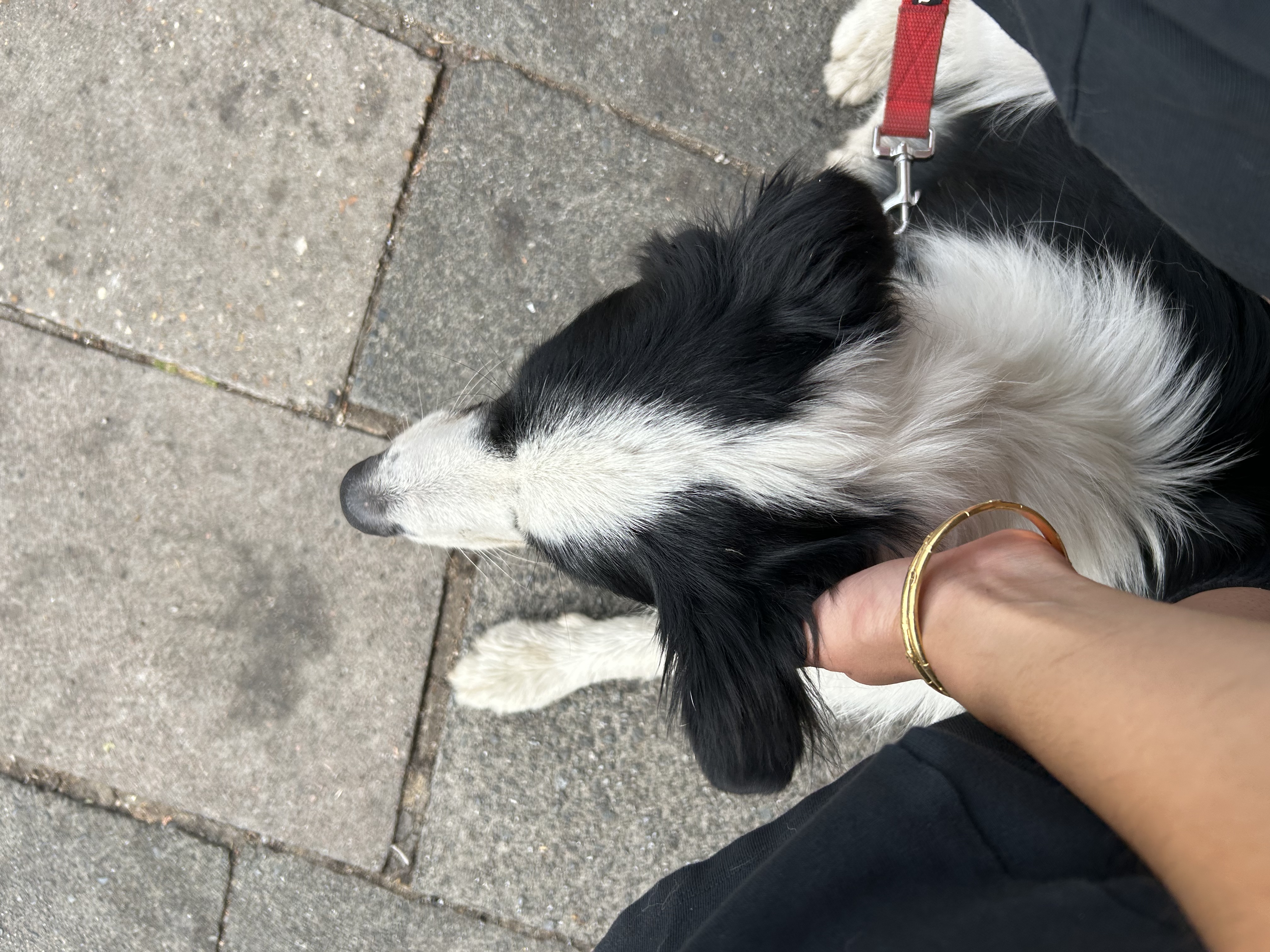 image-8