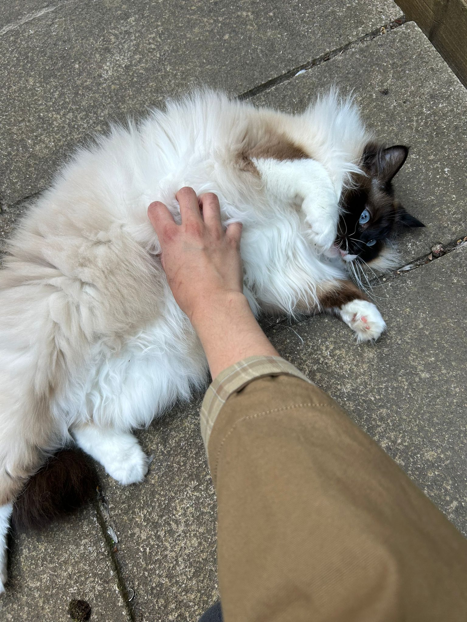image-7