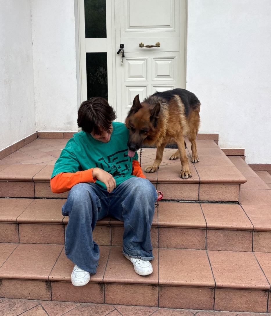 image-4
