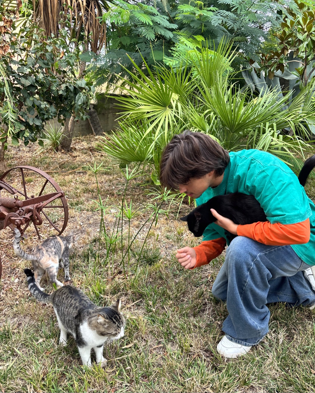 image-6