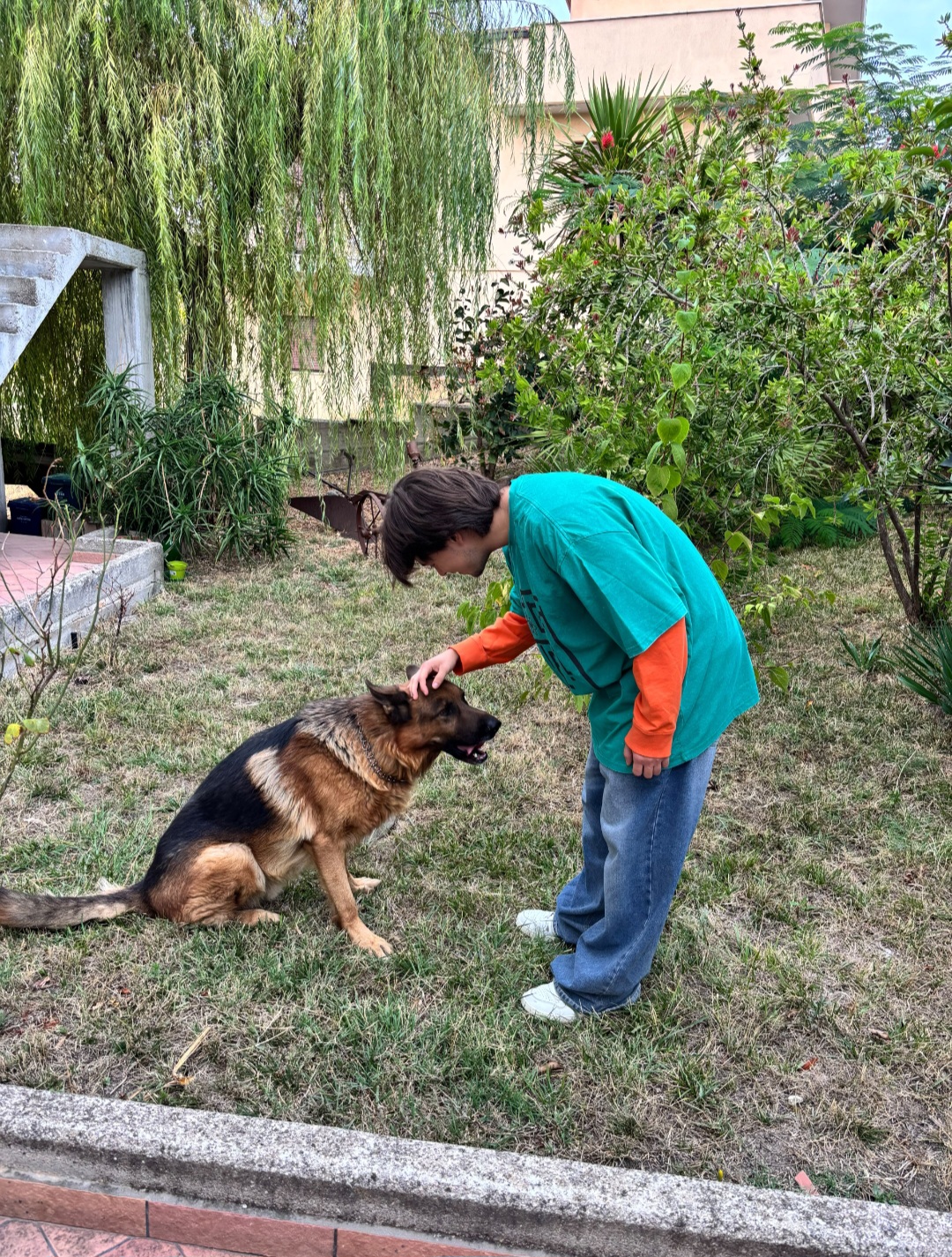 image-5