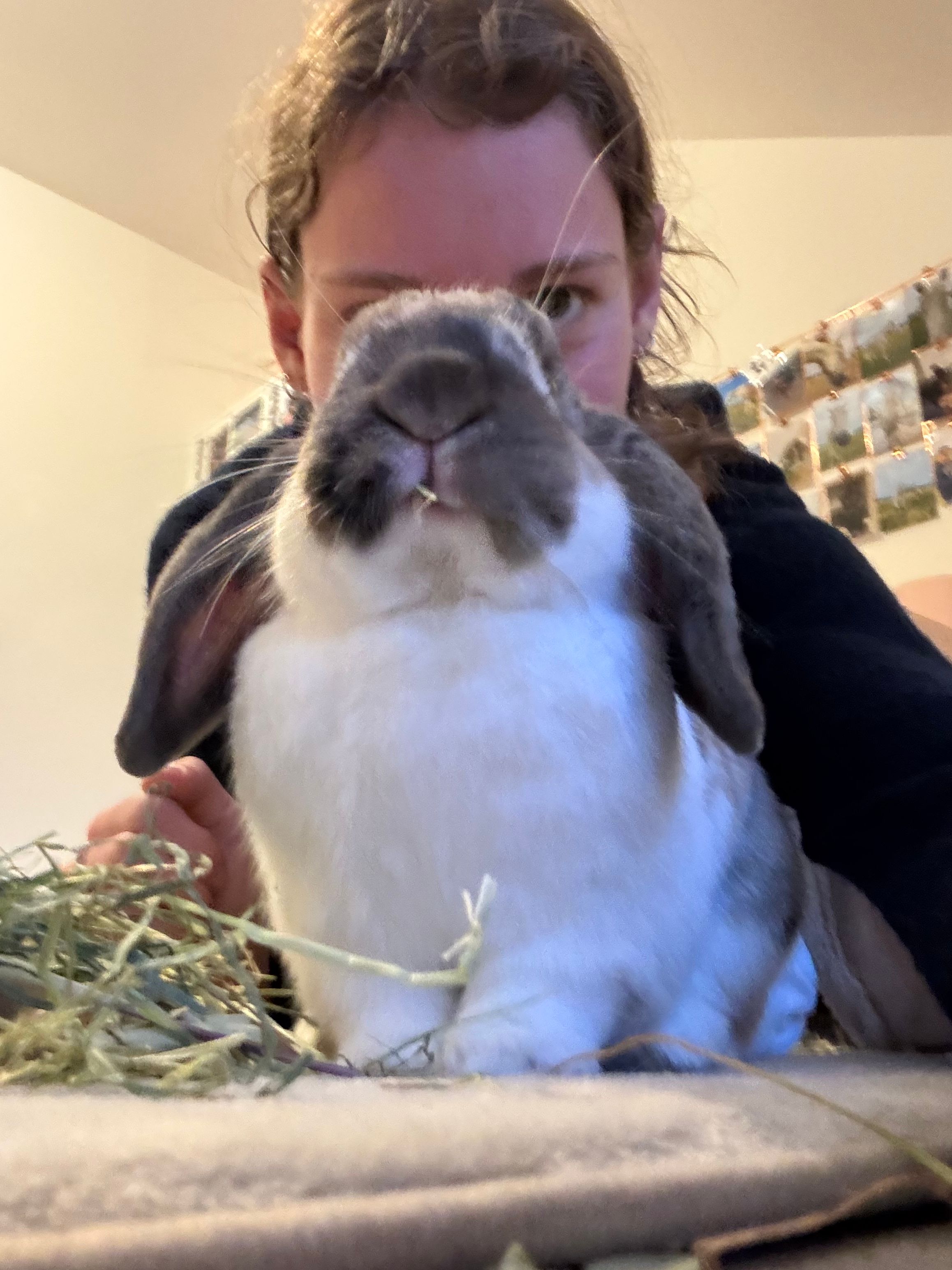 image-2