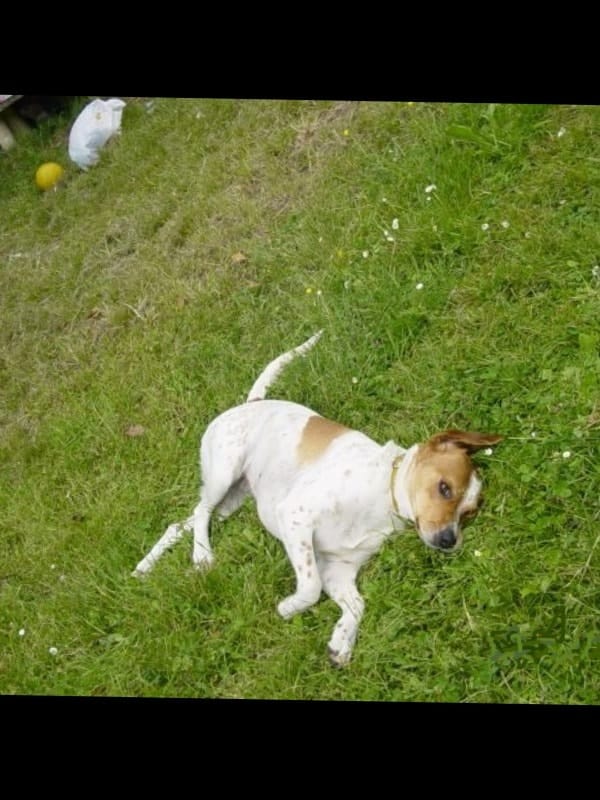 image-3