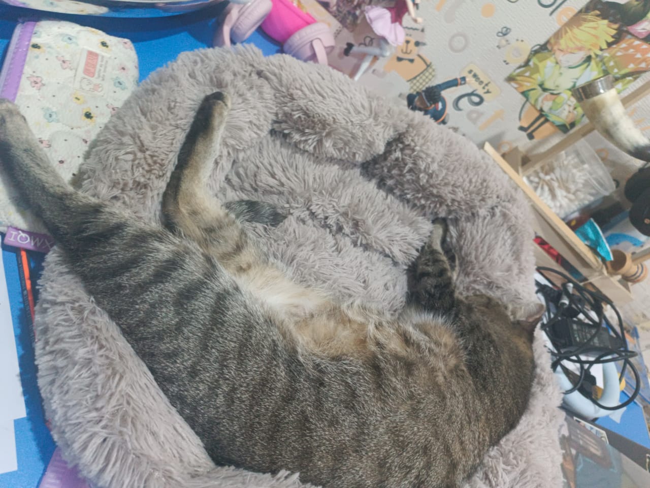 image-8