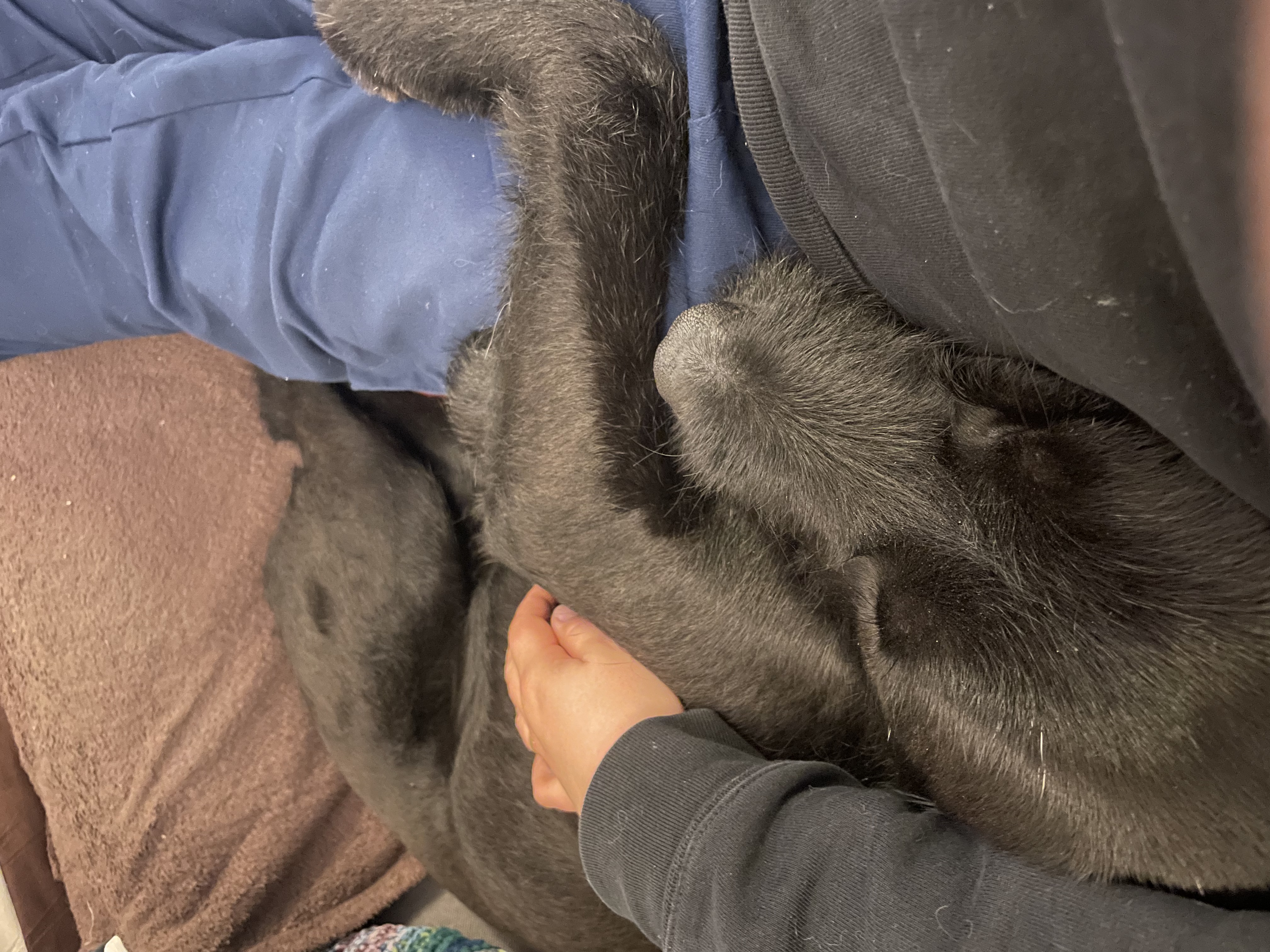 image-12