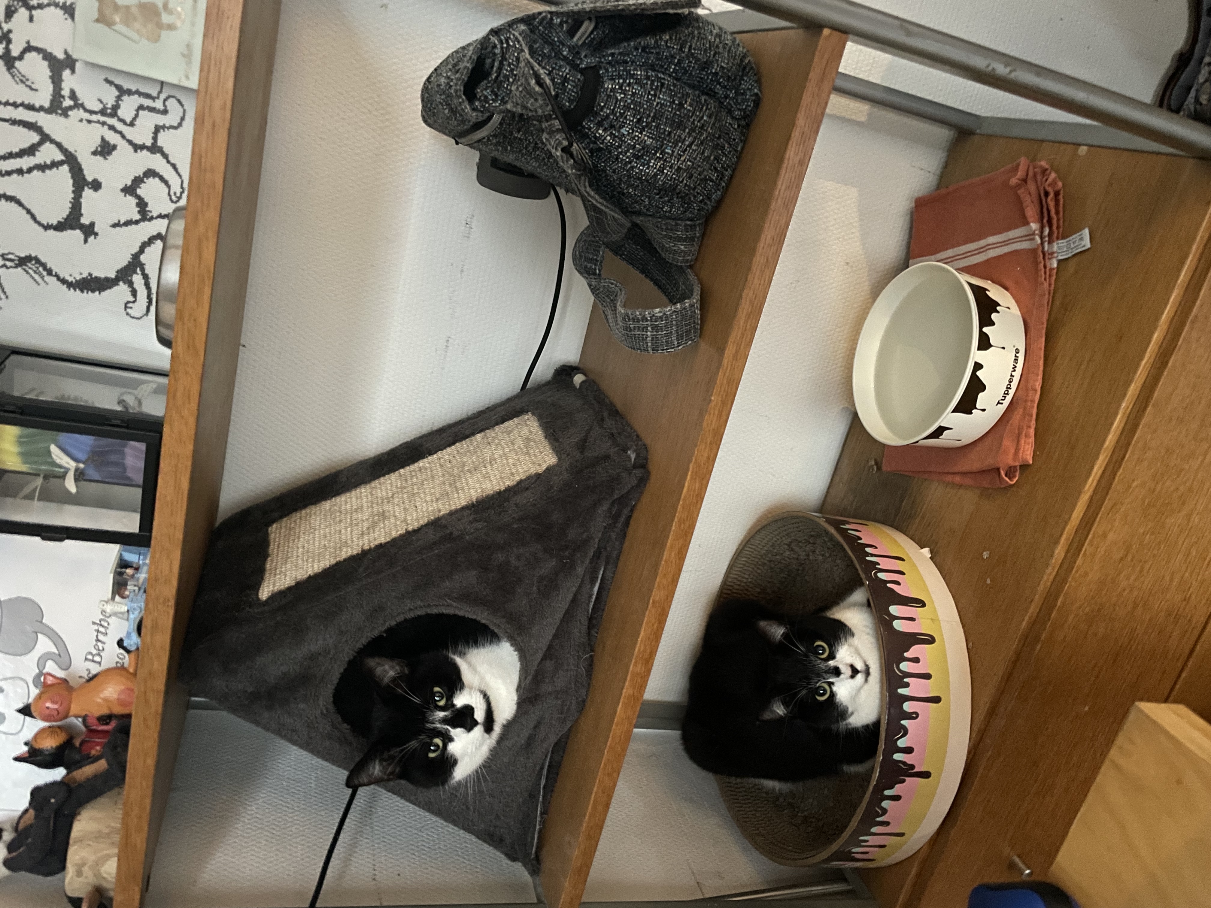 image-19