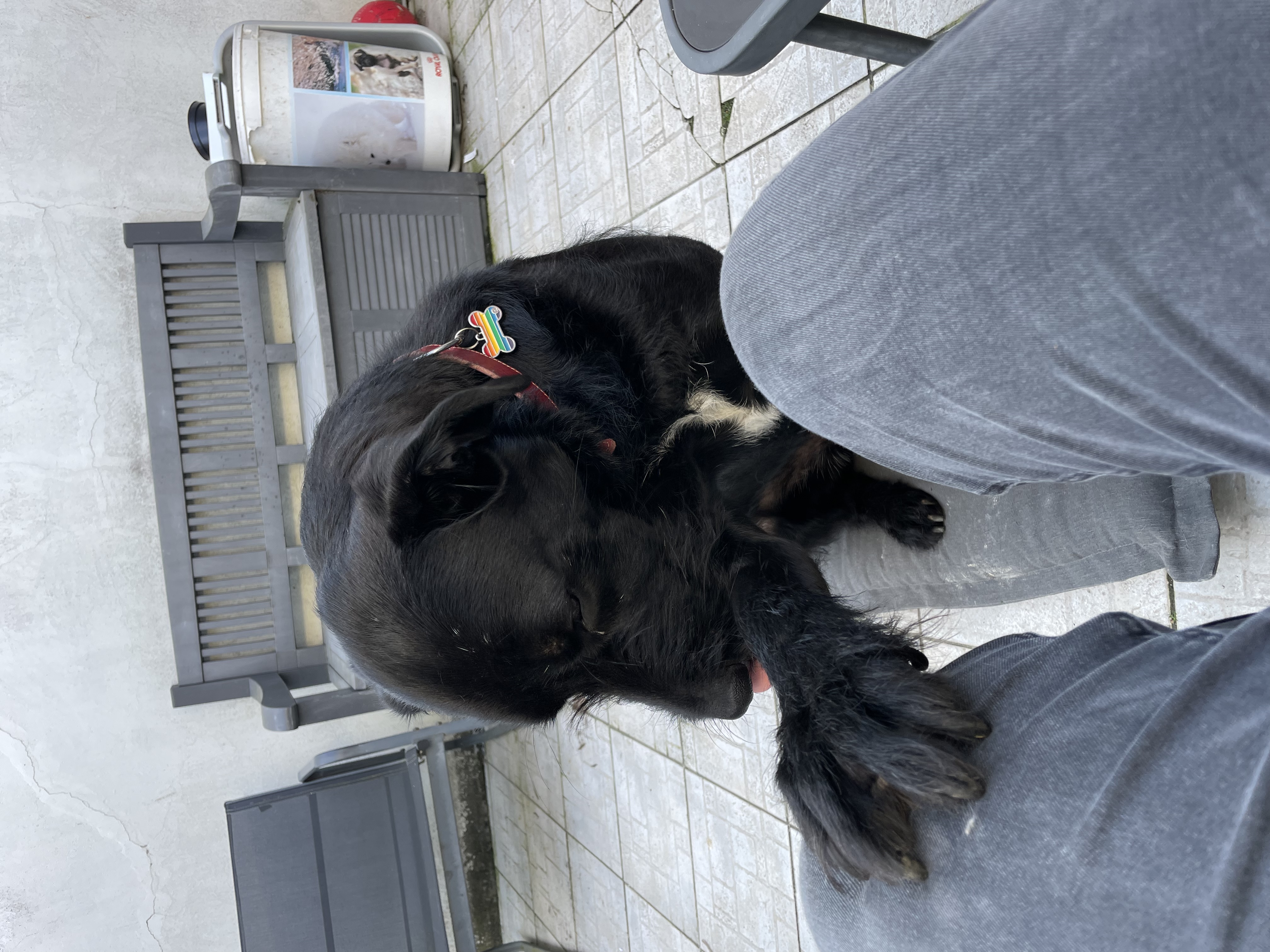 image-10