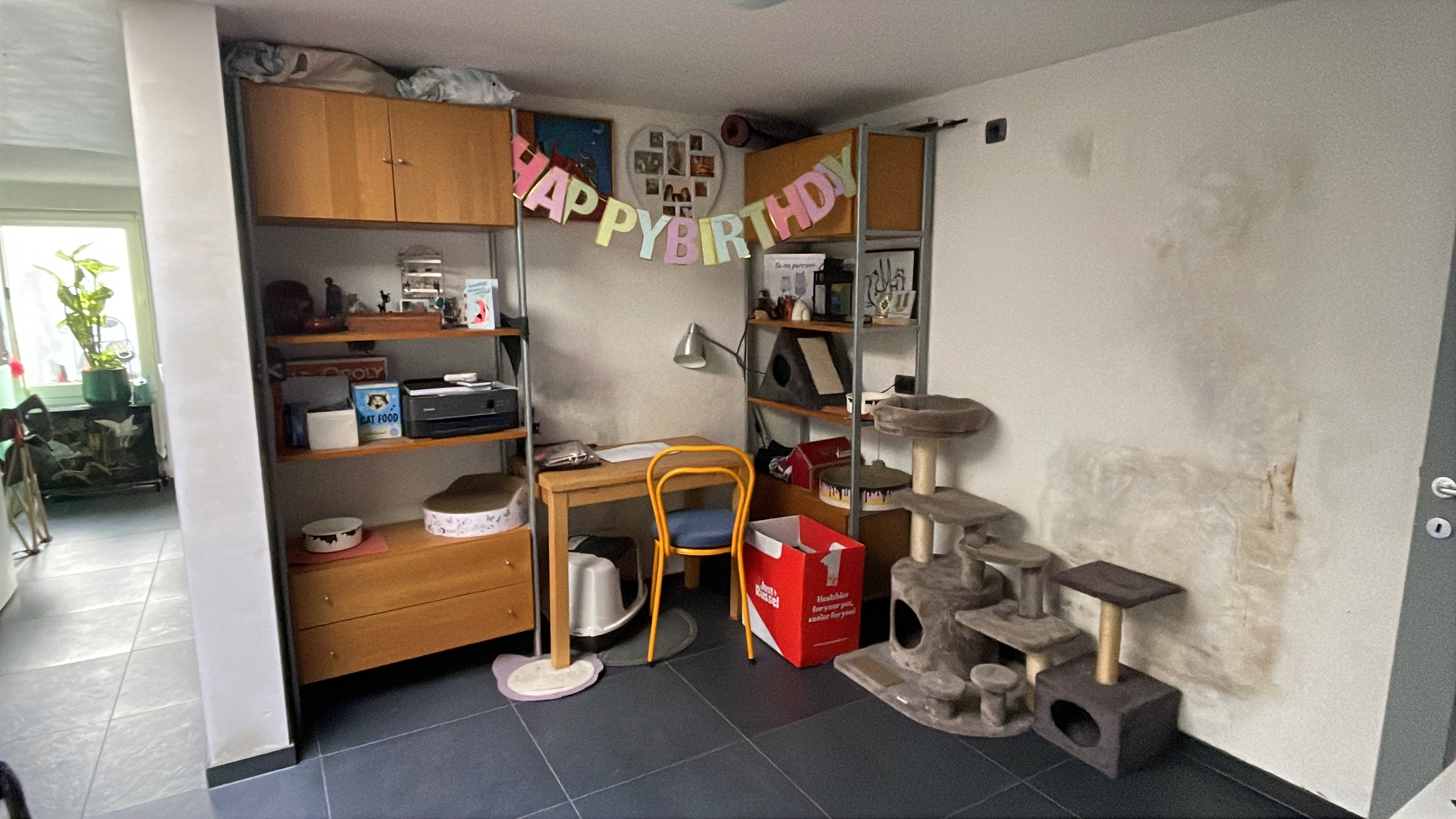 image-20