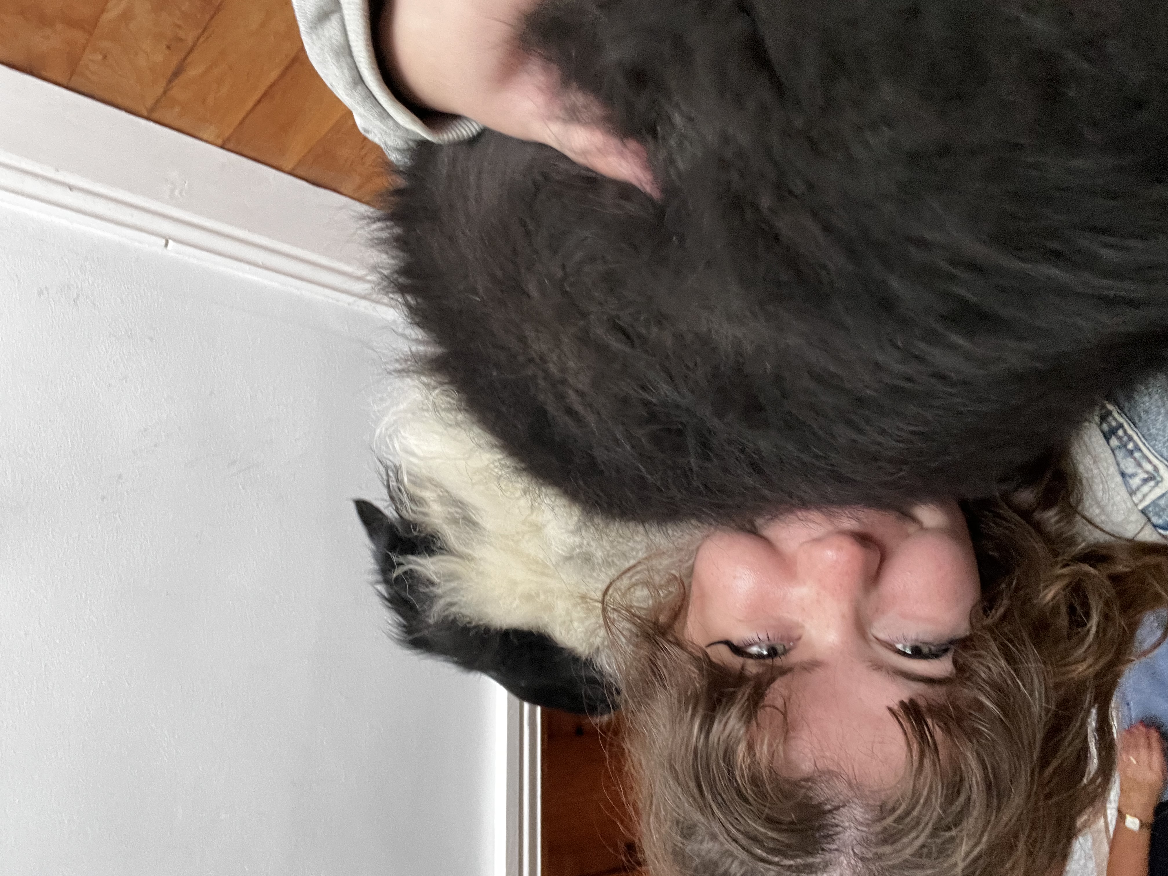 image-5