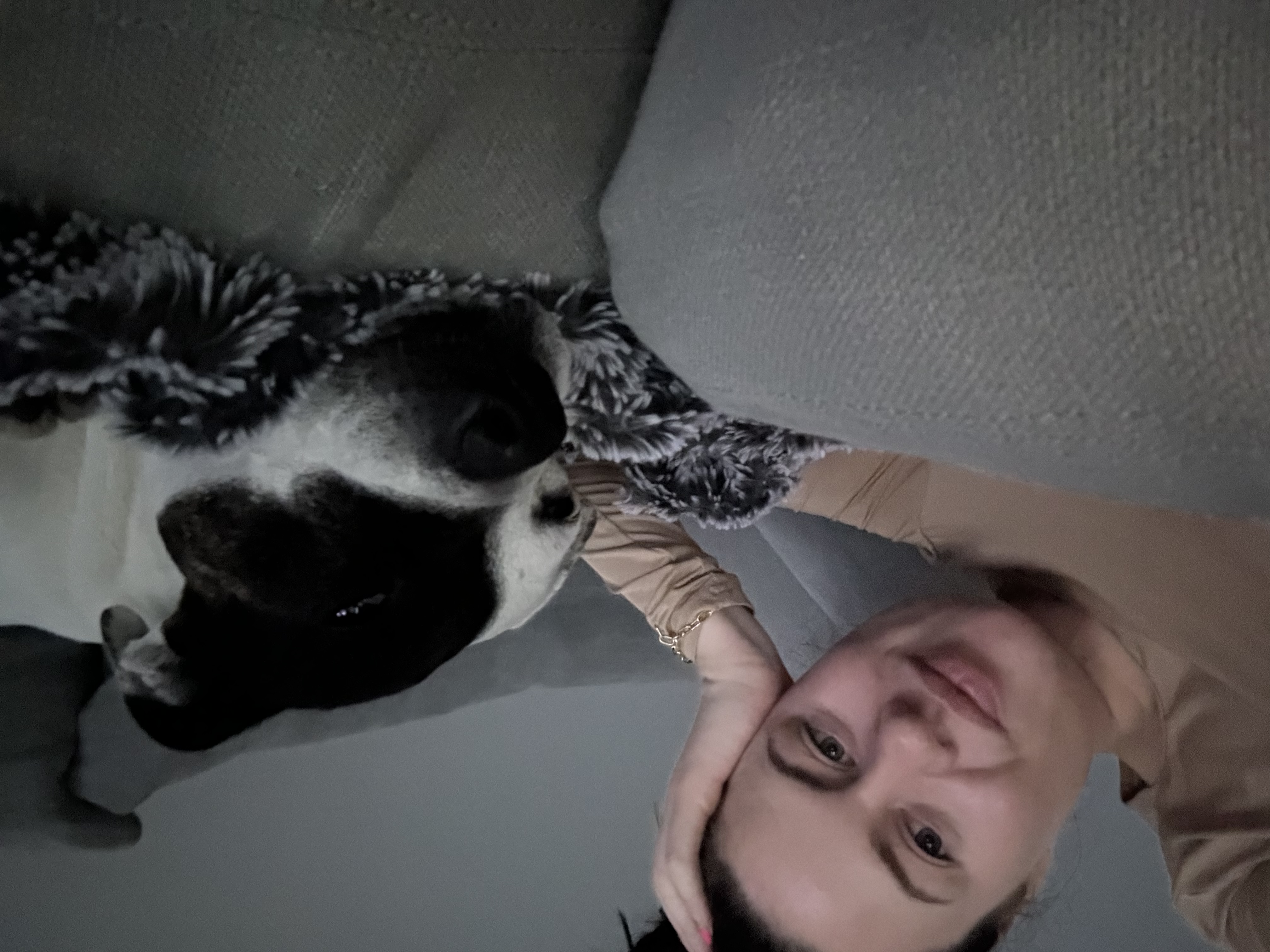 image-12