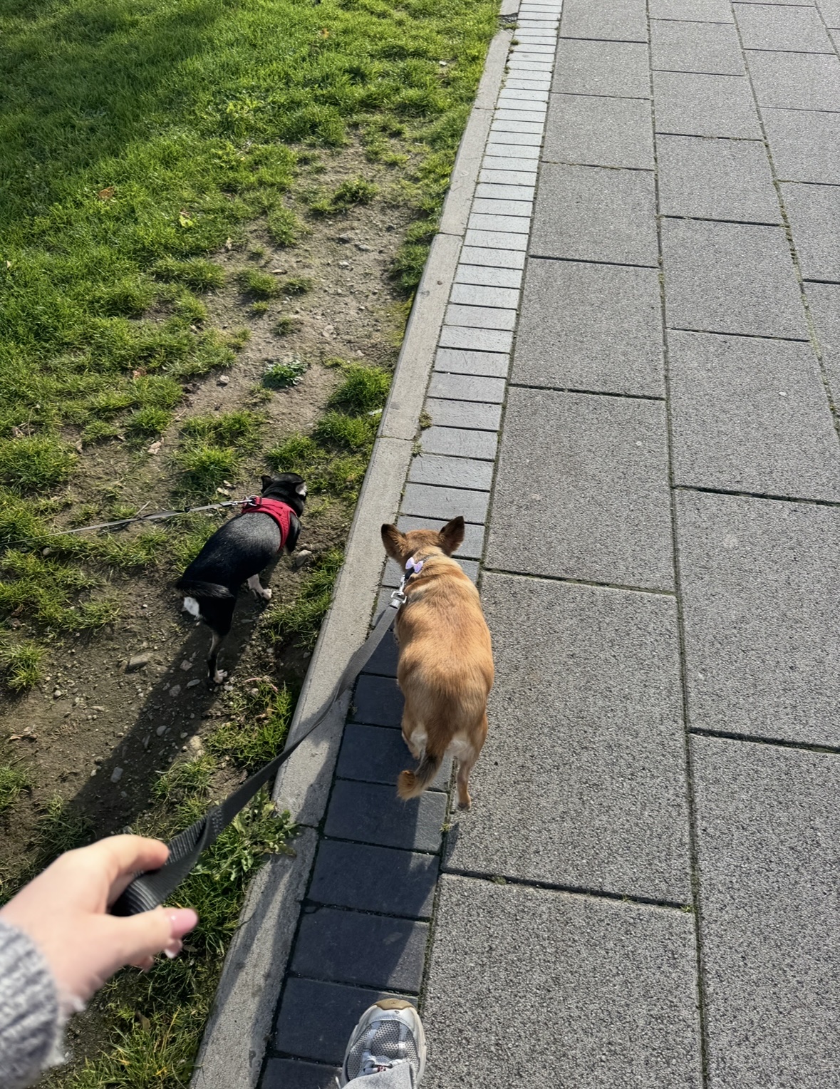 image-3