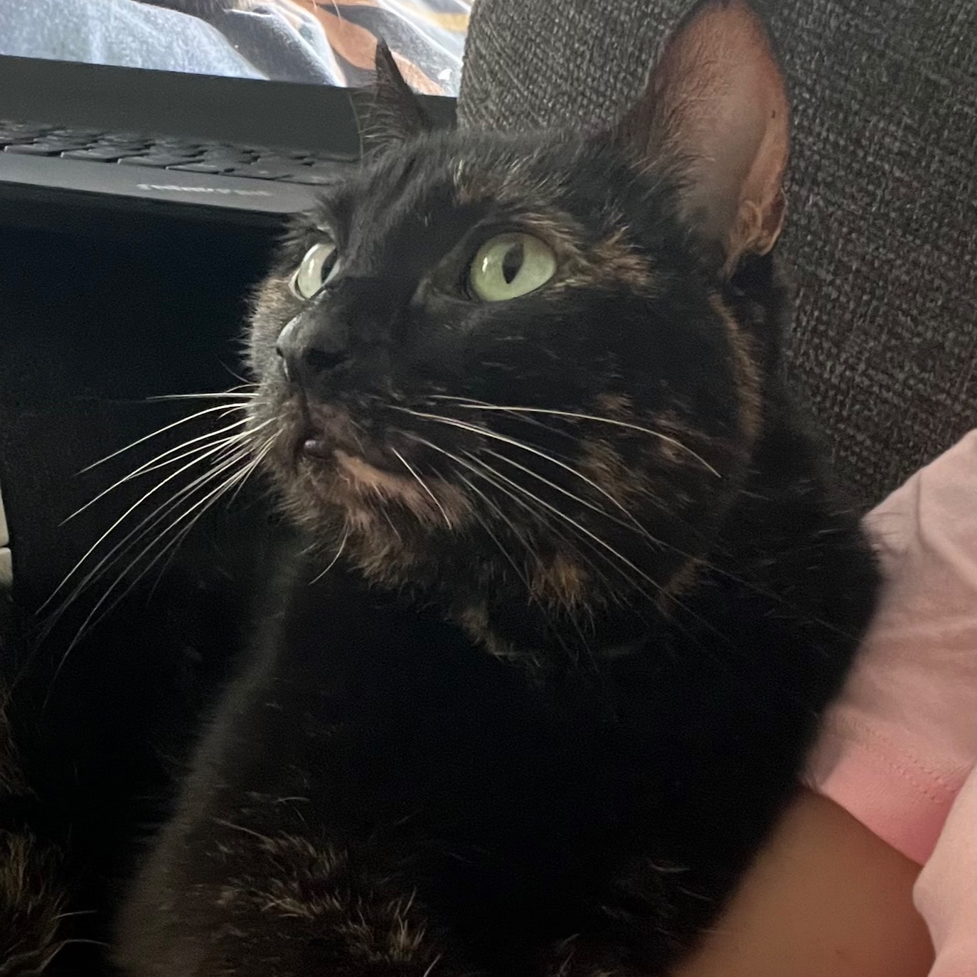 Freya