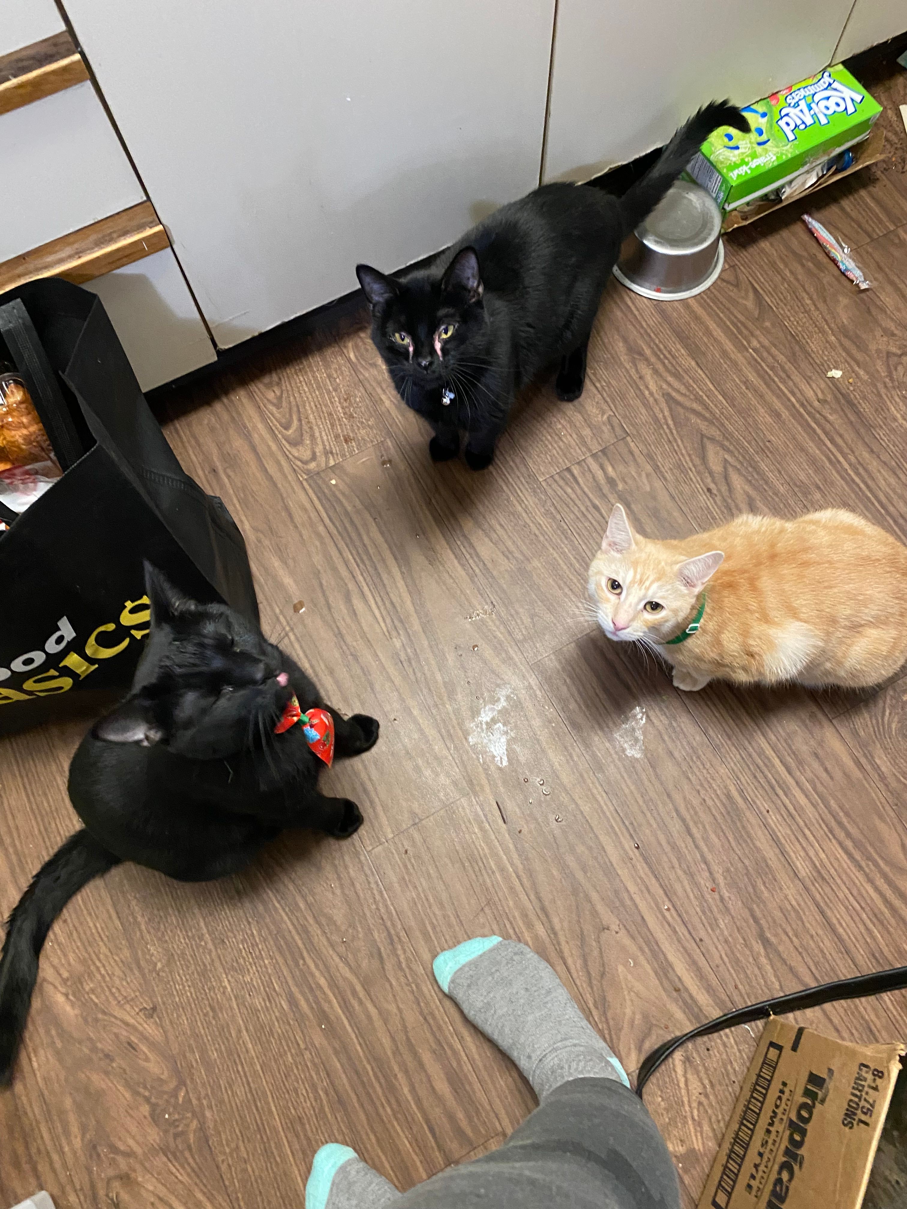image-16