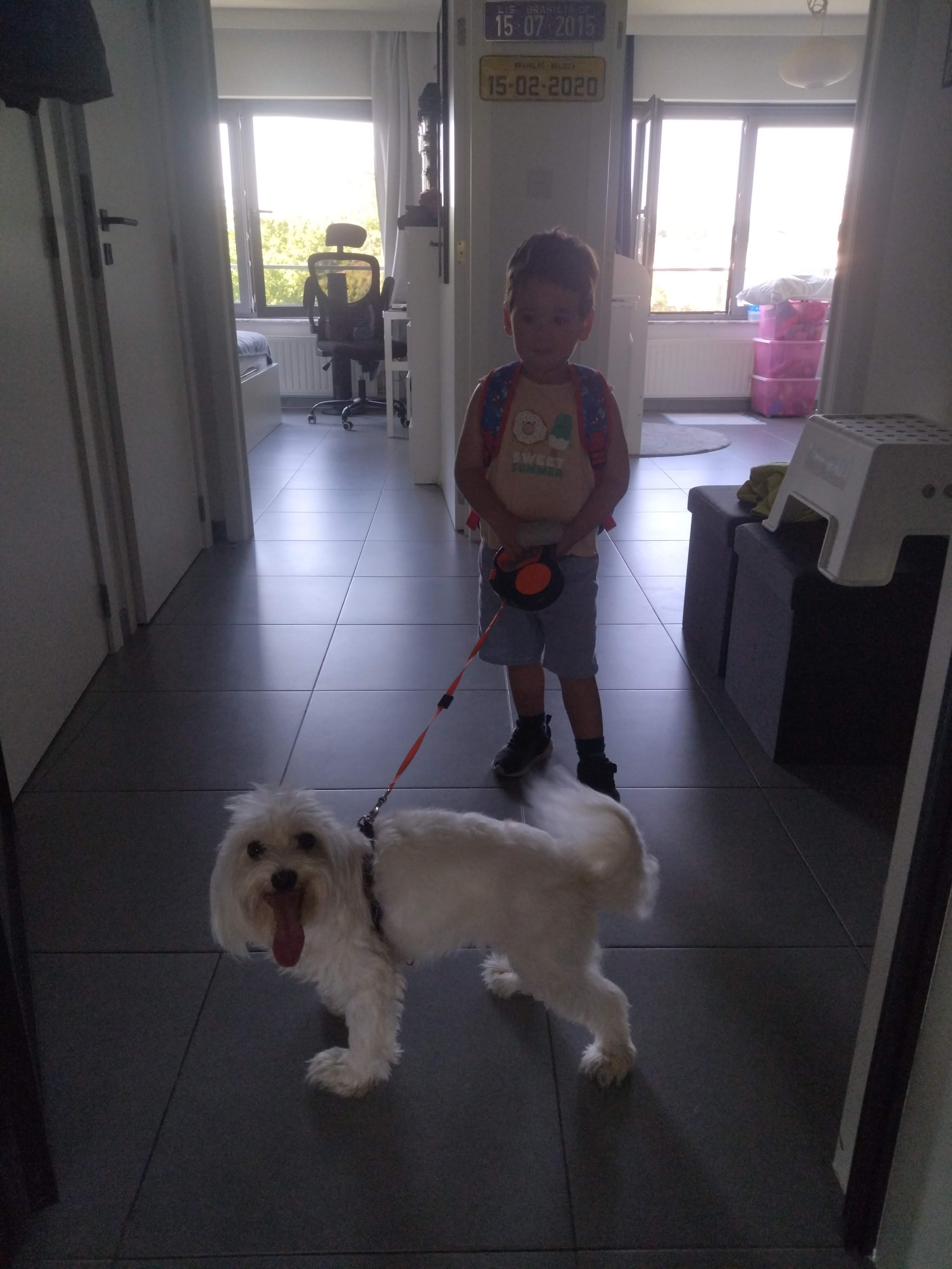 image-5