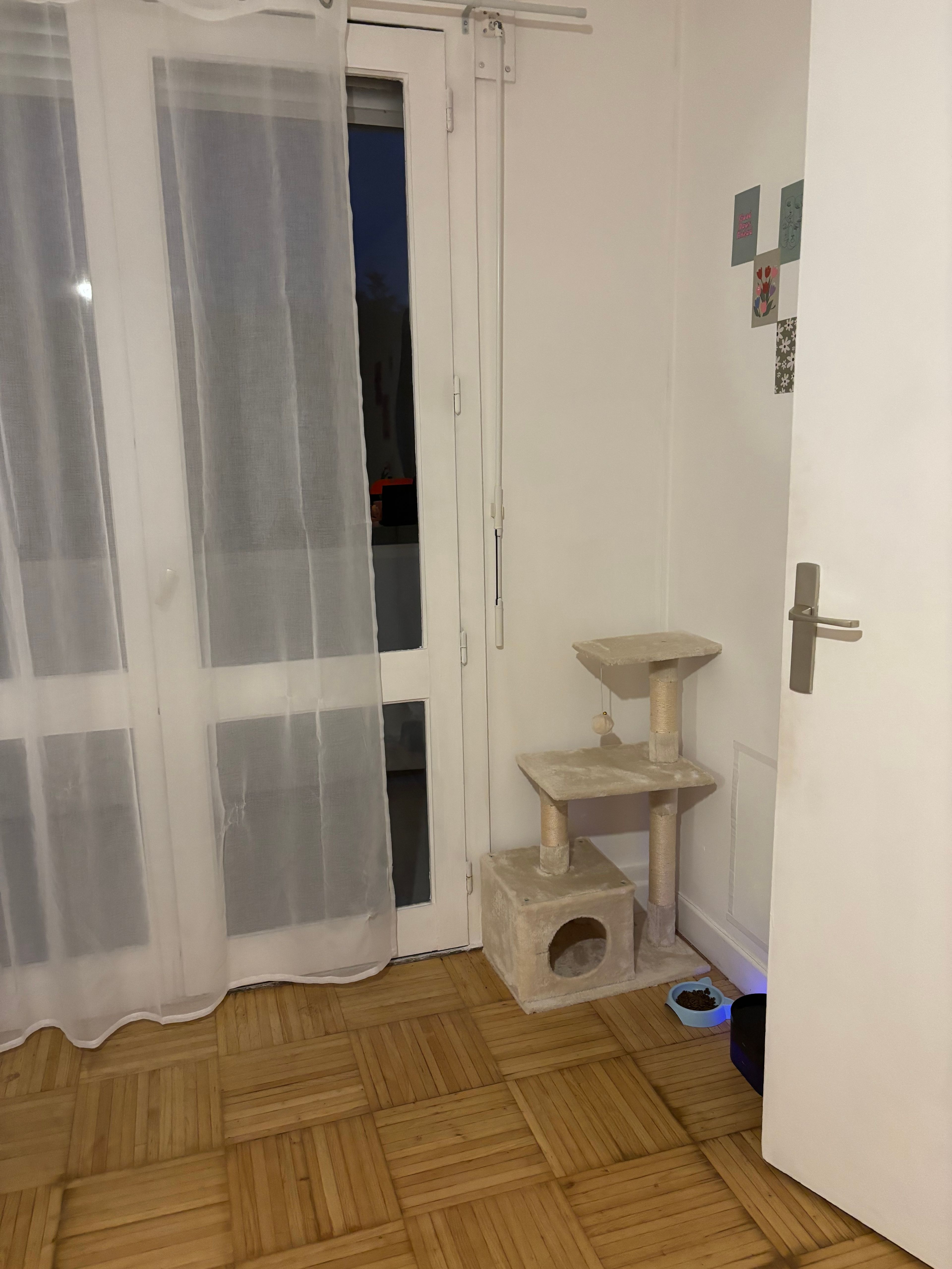 image-16