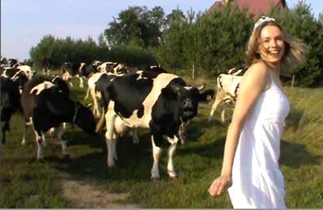 image-5