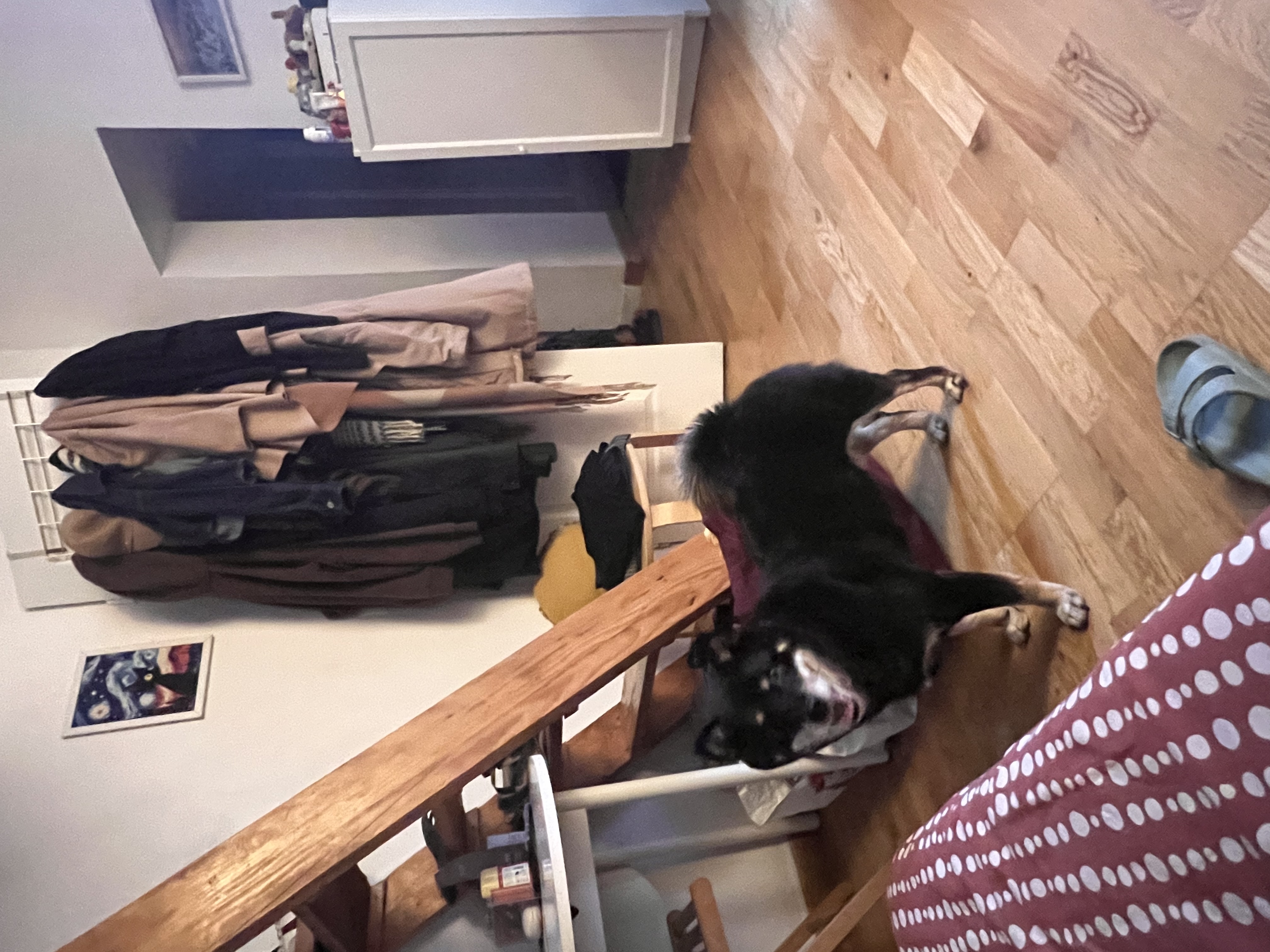 image-28