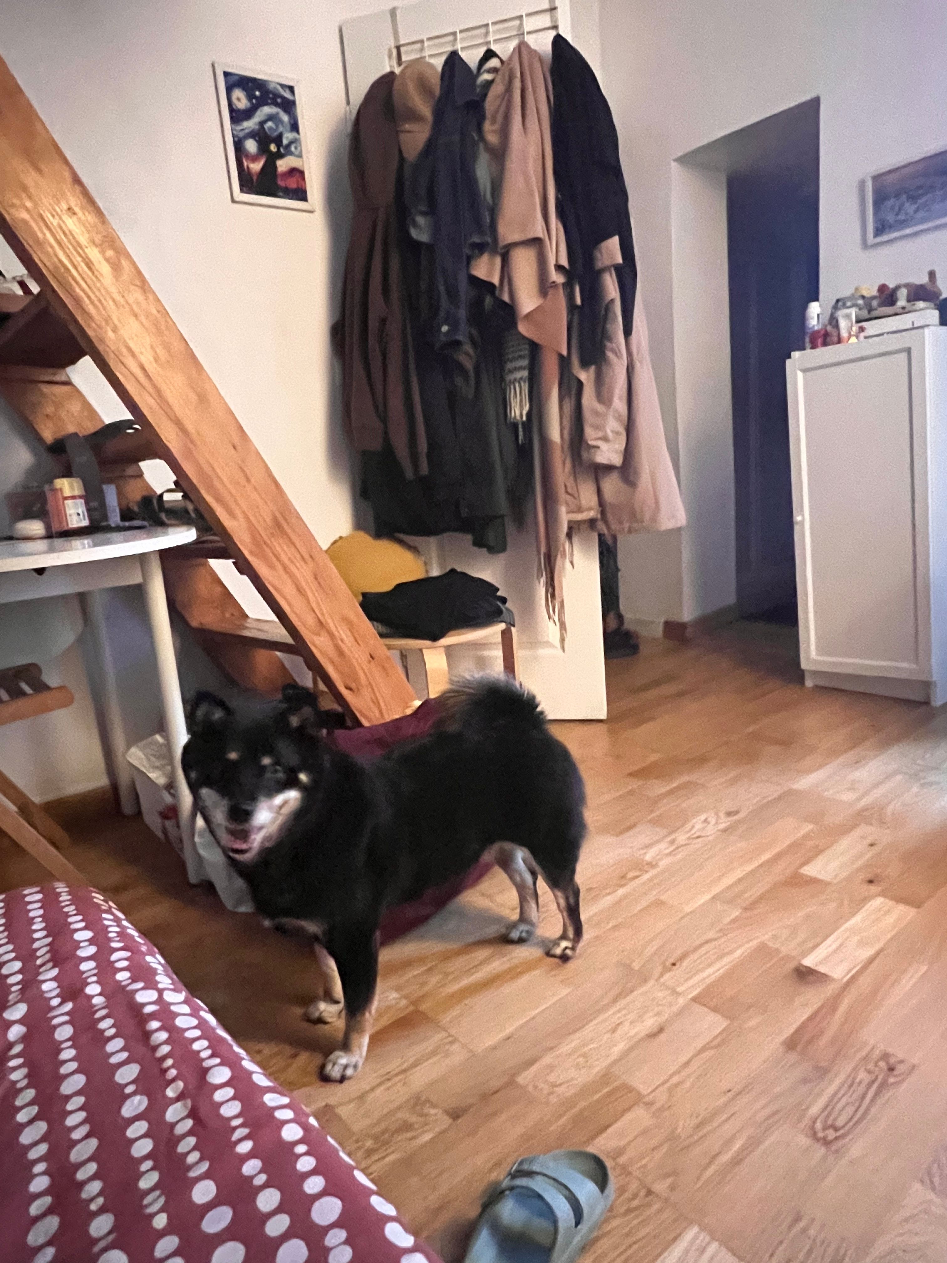 image-28