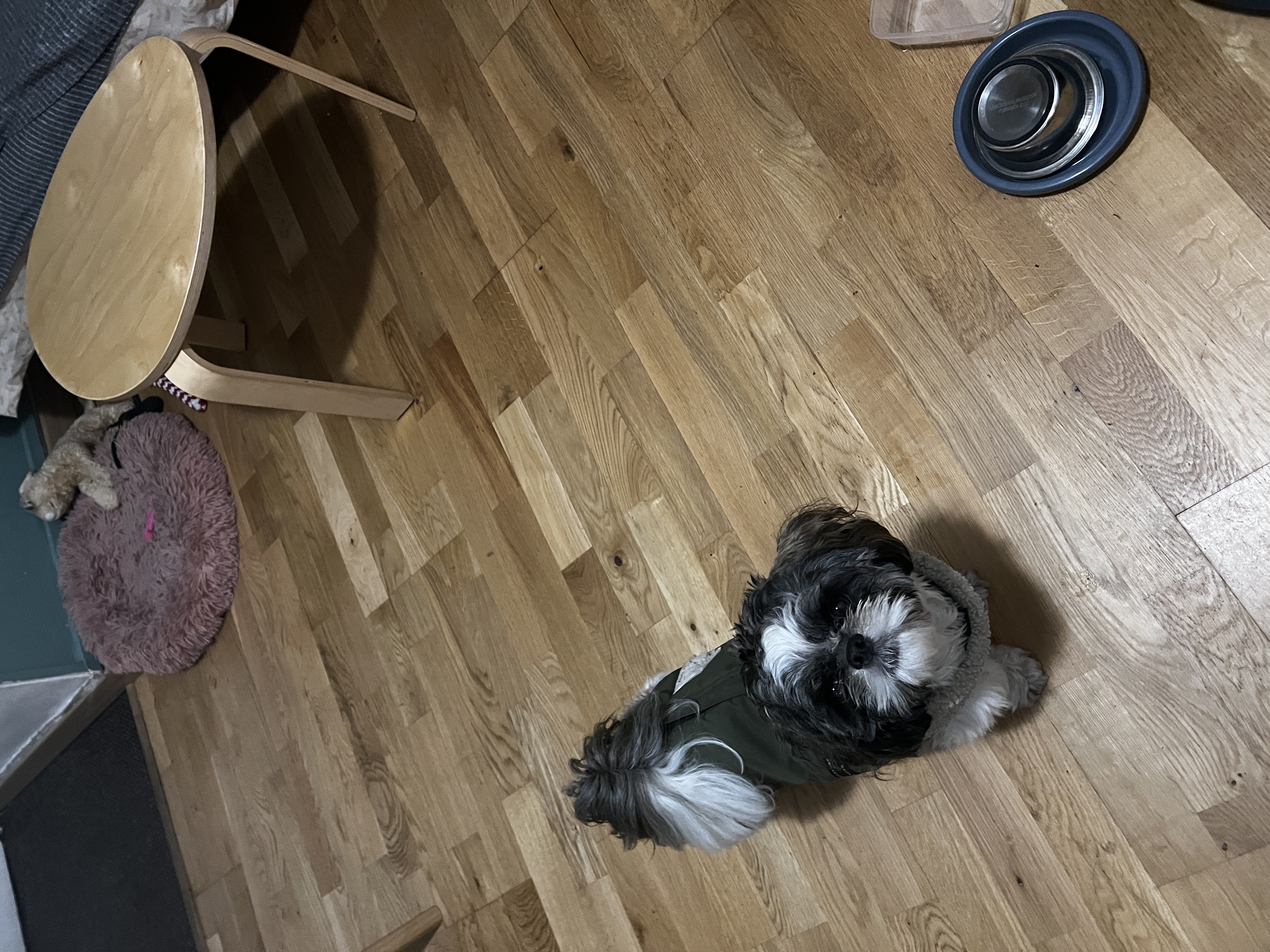 image-39