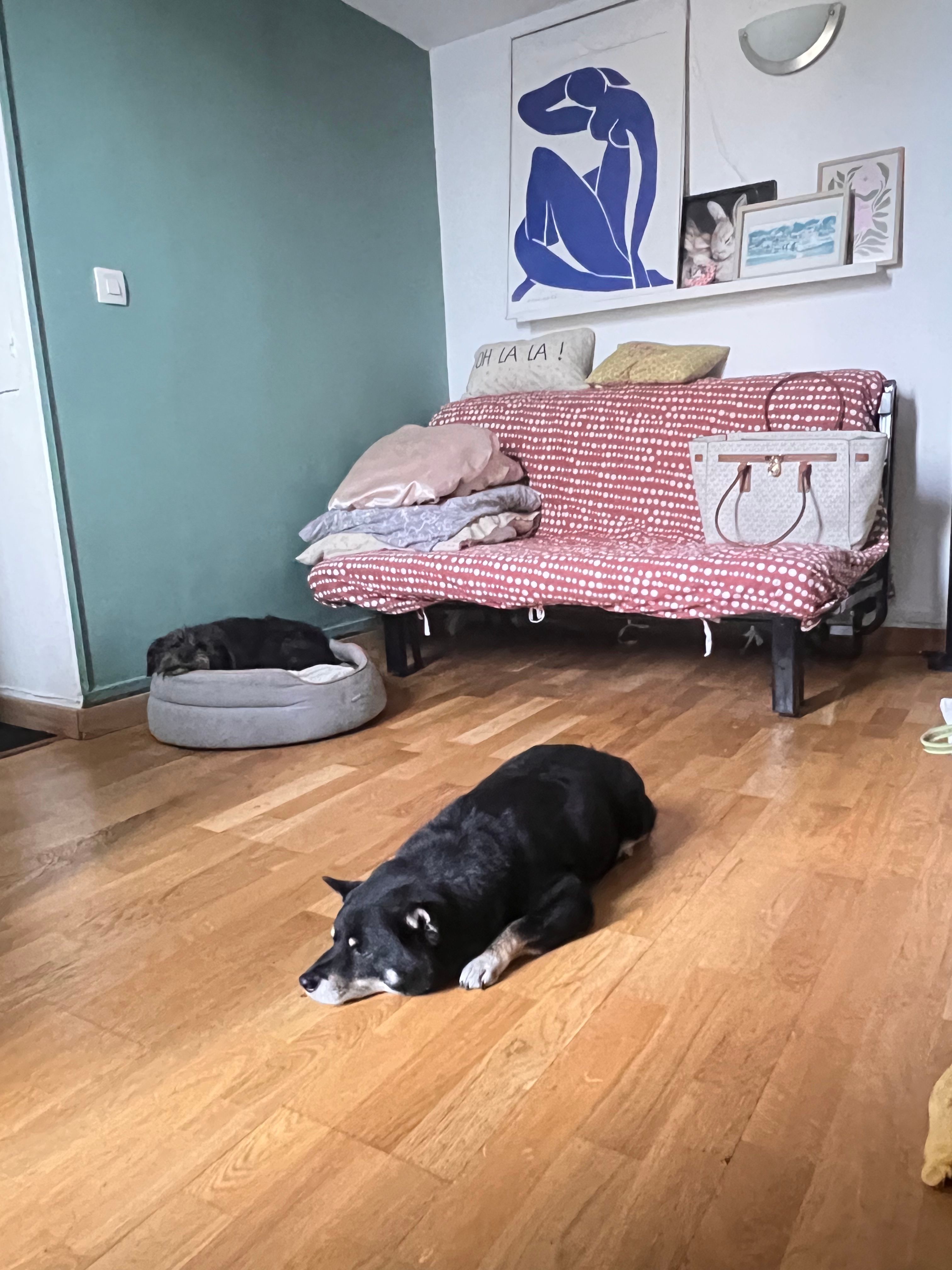 image-27