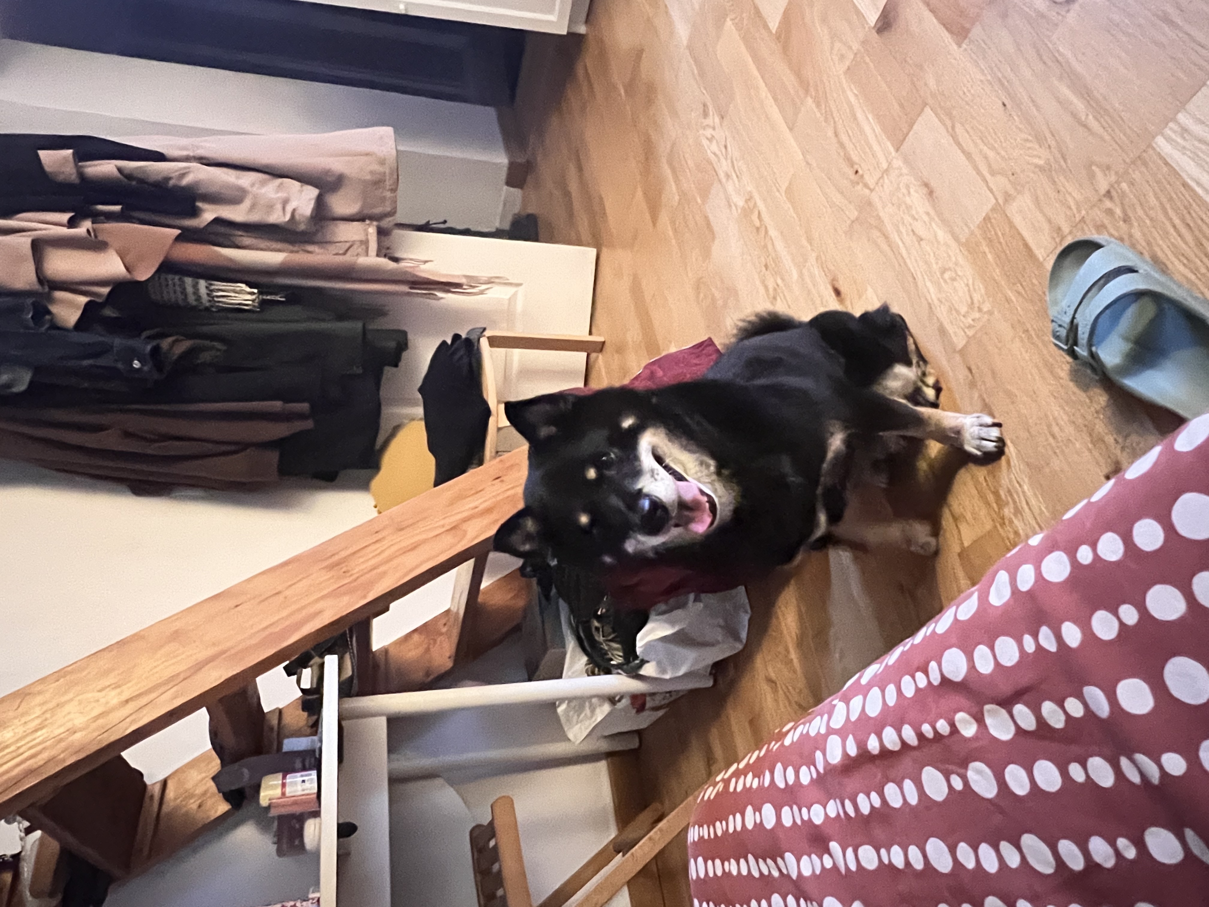 image-15